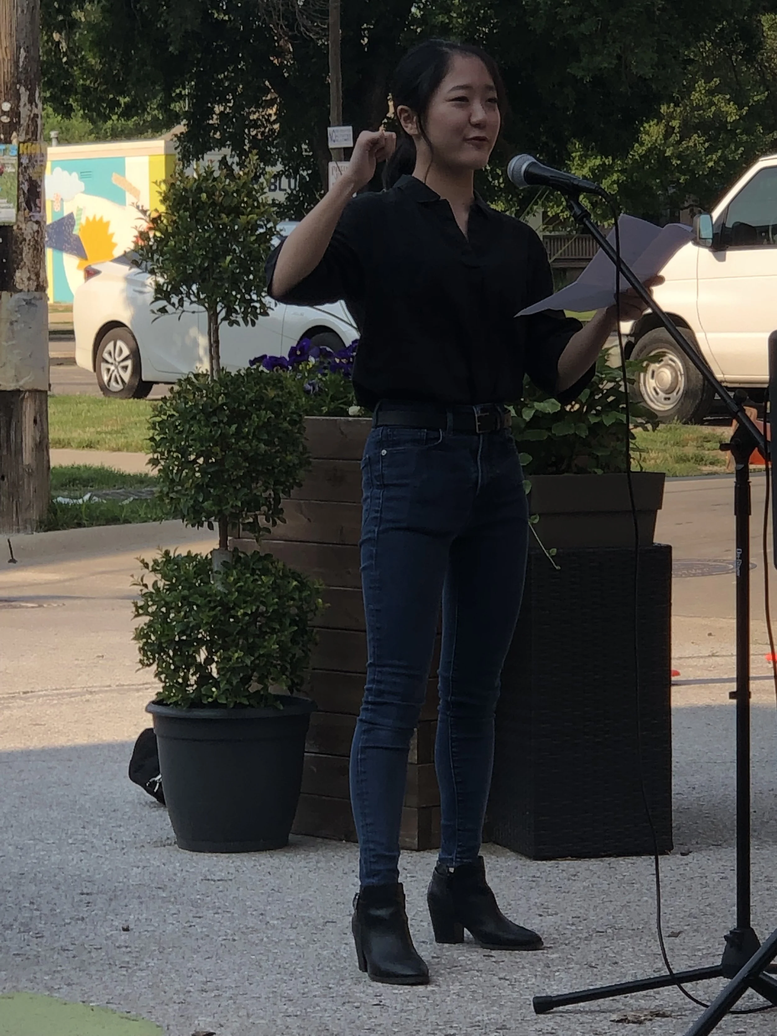 DSM Art Festival