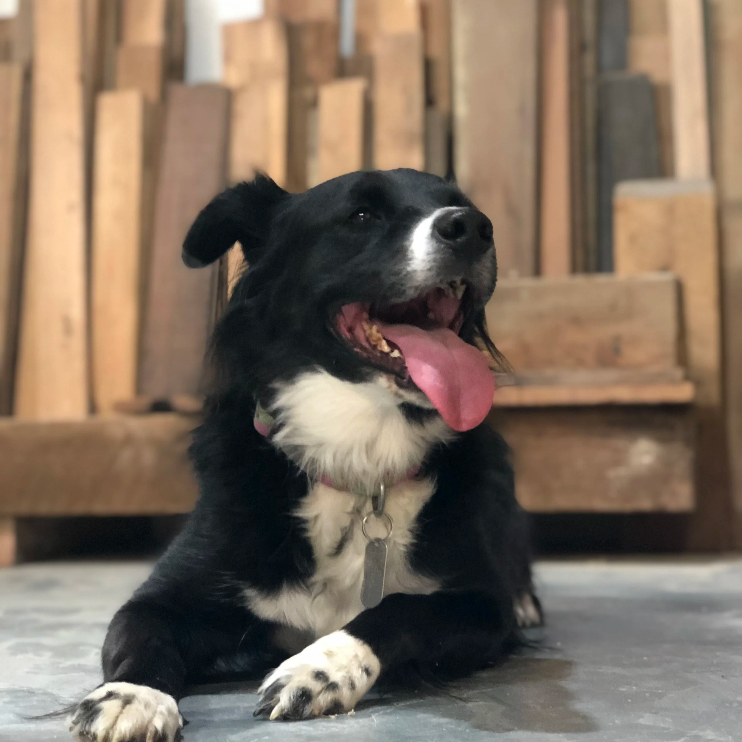 Oranssi founder Drew Weber