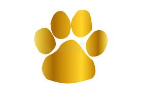 Golden paw print icon
