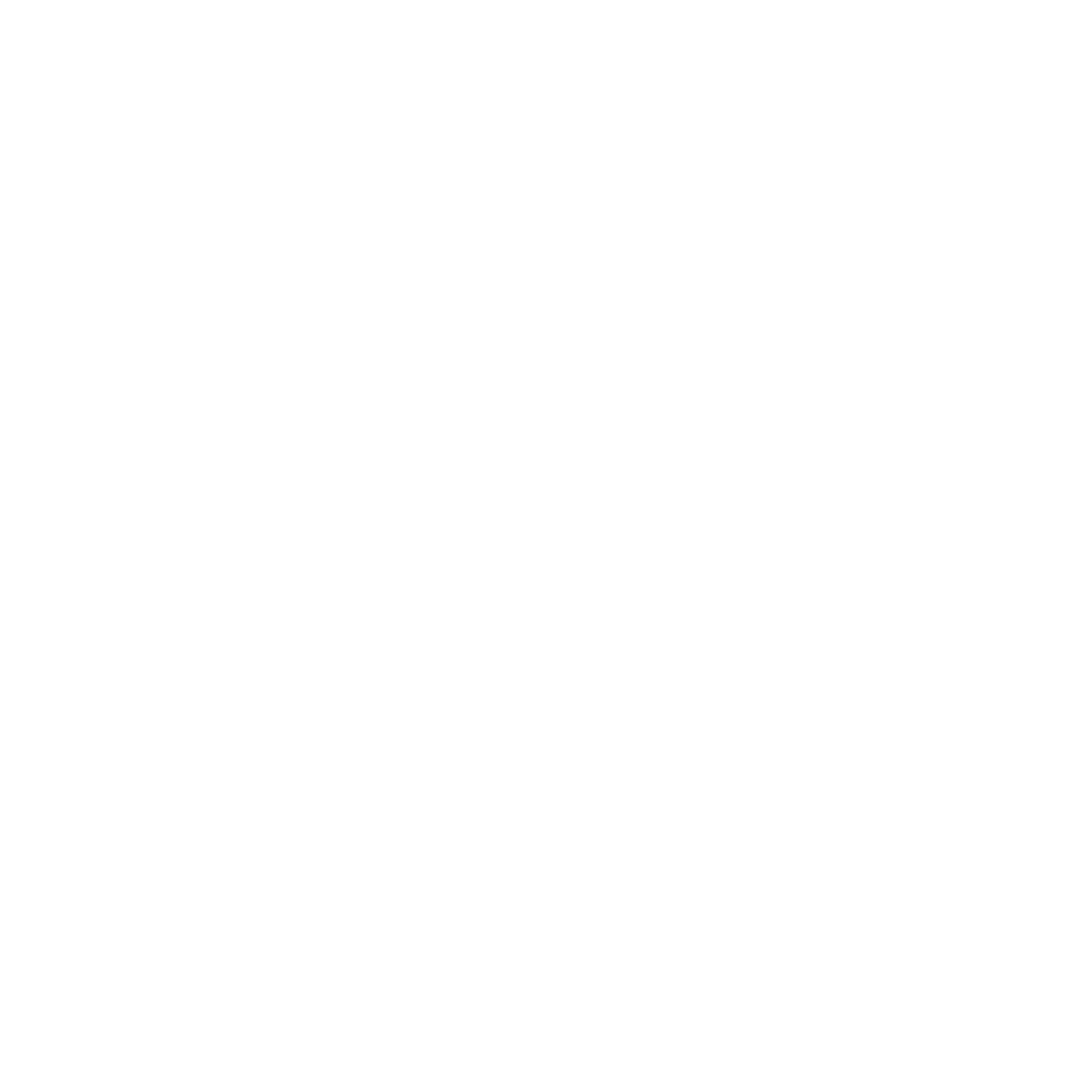diamond icon representing high-value assets