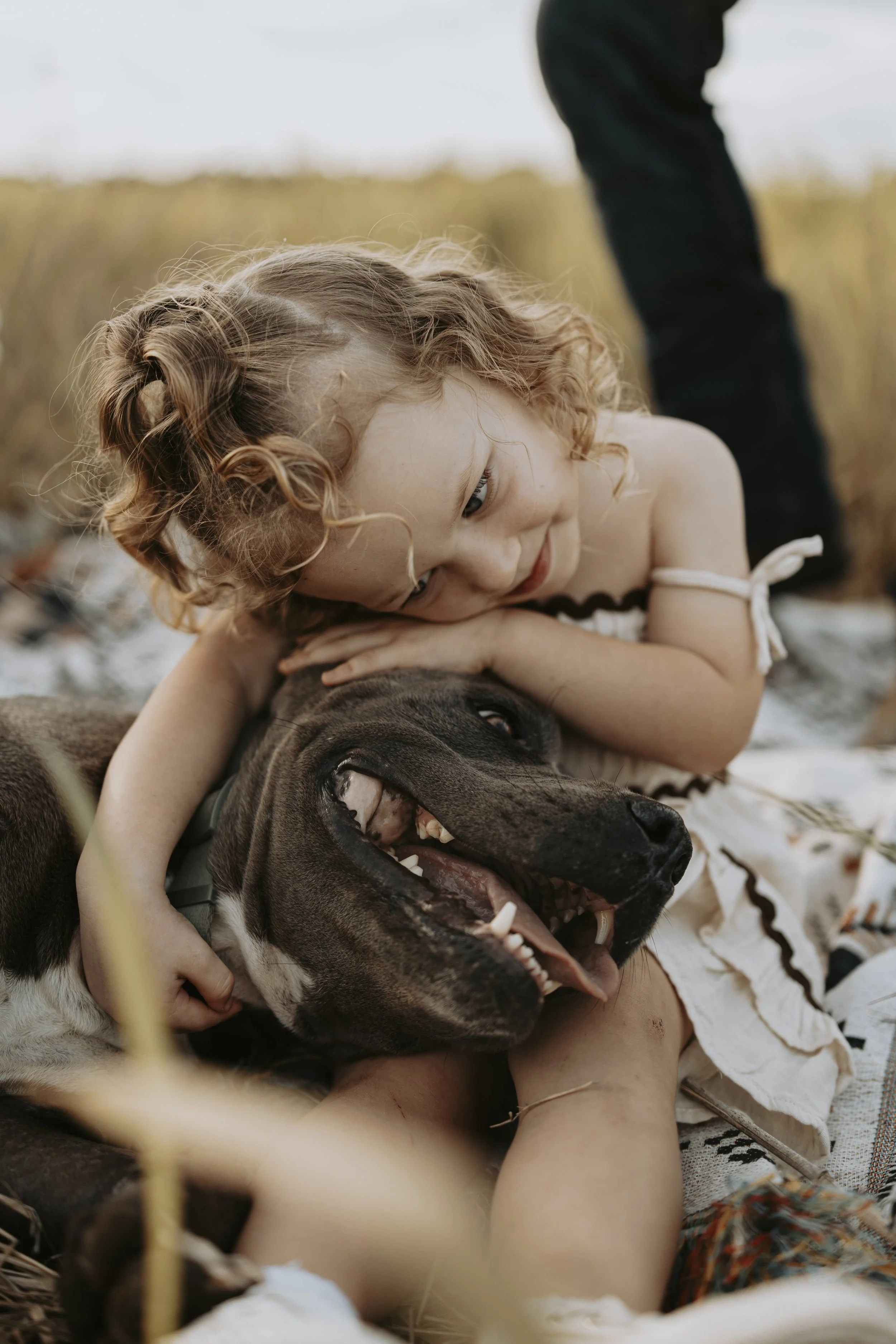 A young girl with curly hair lying on a blanket, hugging a large black and brown dog with a big smile, outdoors in a field.