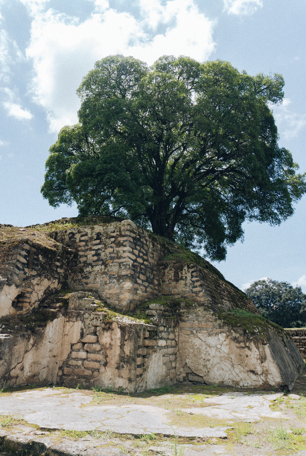 Screenshot 2026-04-19 at 3.15.46 AM.png