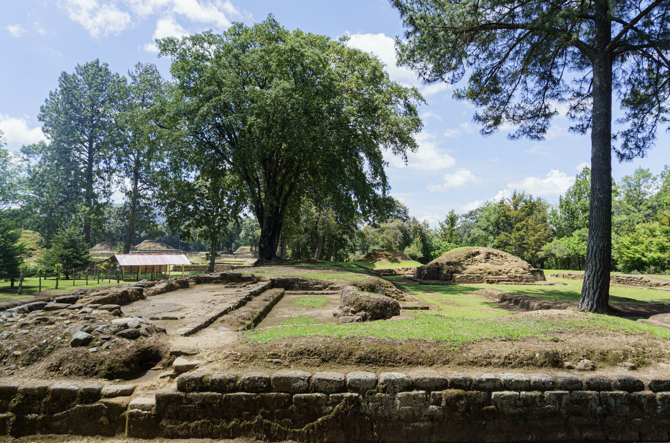 Screenshot 2026-04-19 at 2.31.36 AM.png