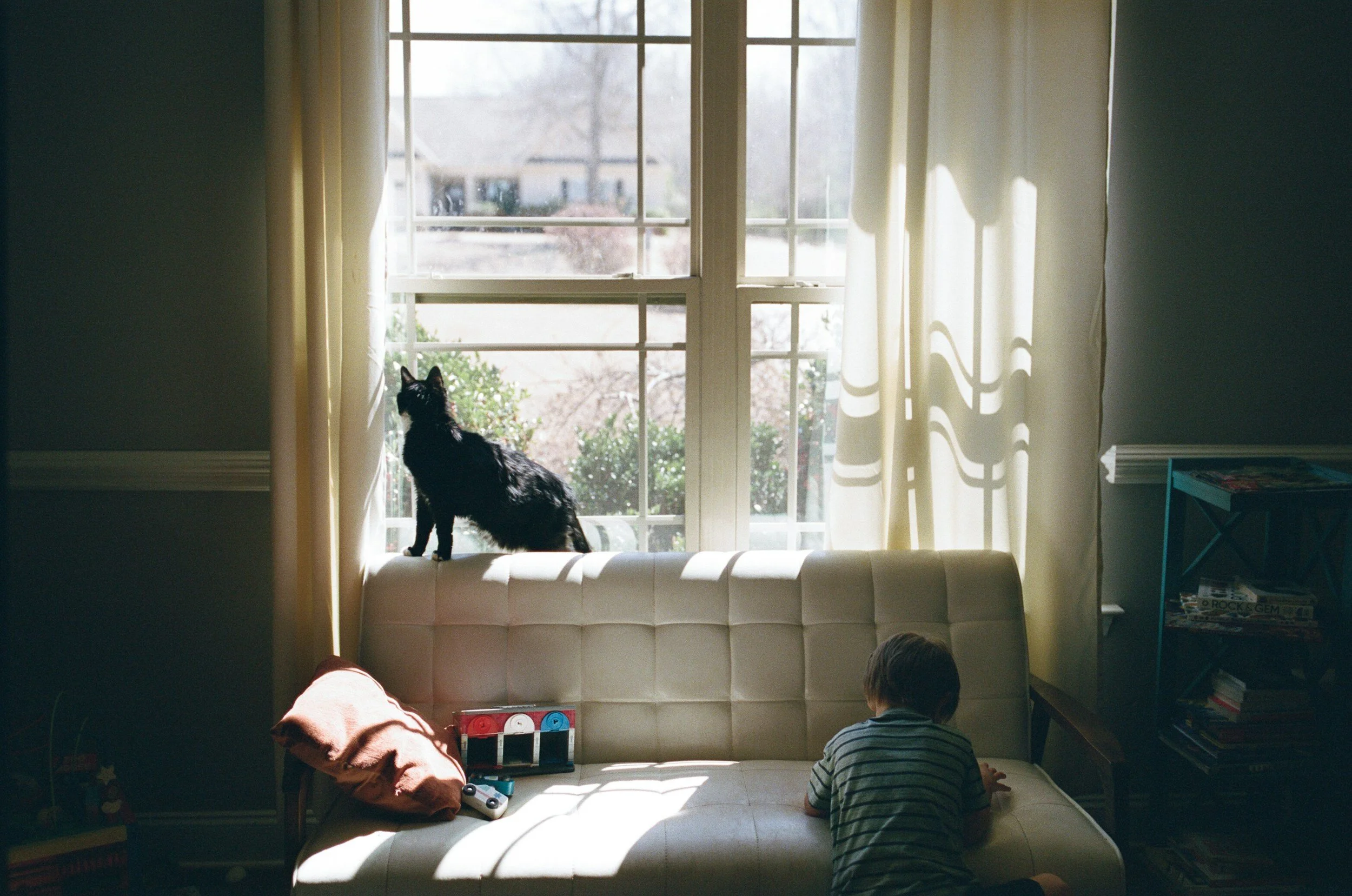 A child kneeling on a beige couch indoors, facing away from the camera, with a black cat sitting on the back of the couch near a window with sunlight shining through. There is a pink pillow and some toys on the couch, and a bookshelf with books on the right side.