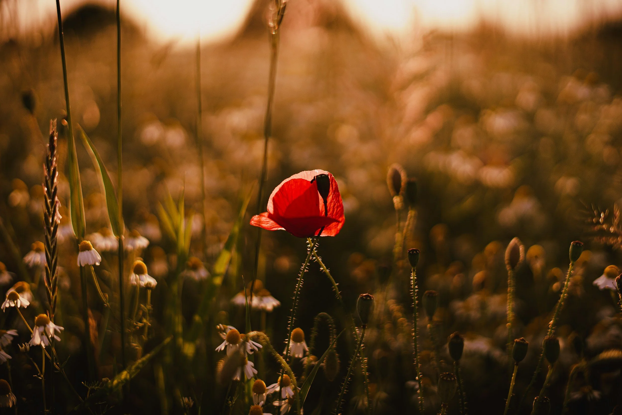 This Is How We Think About Grief