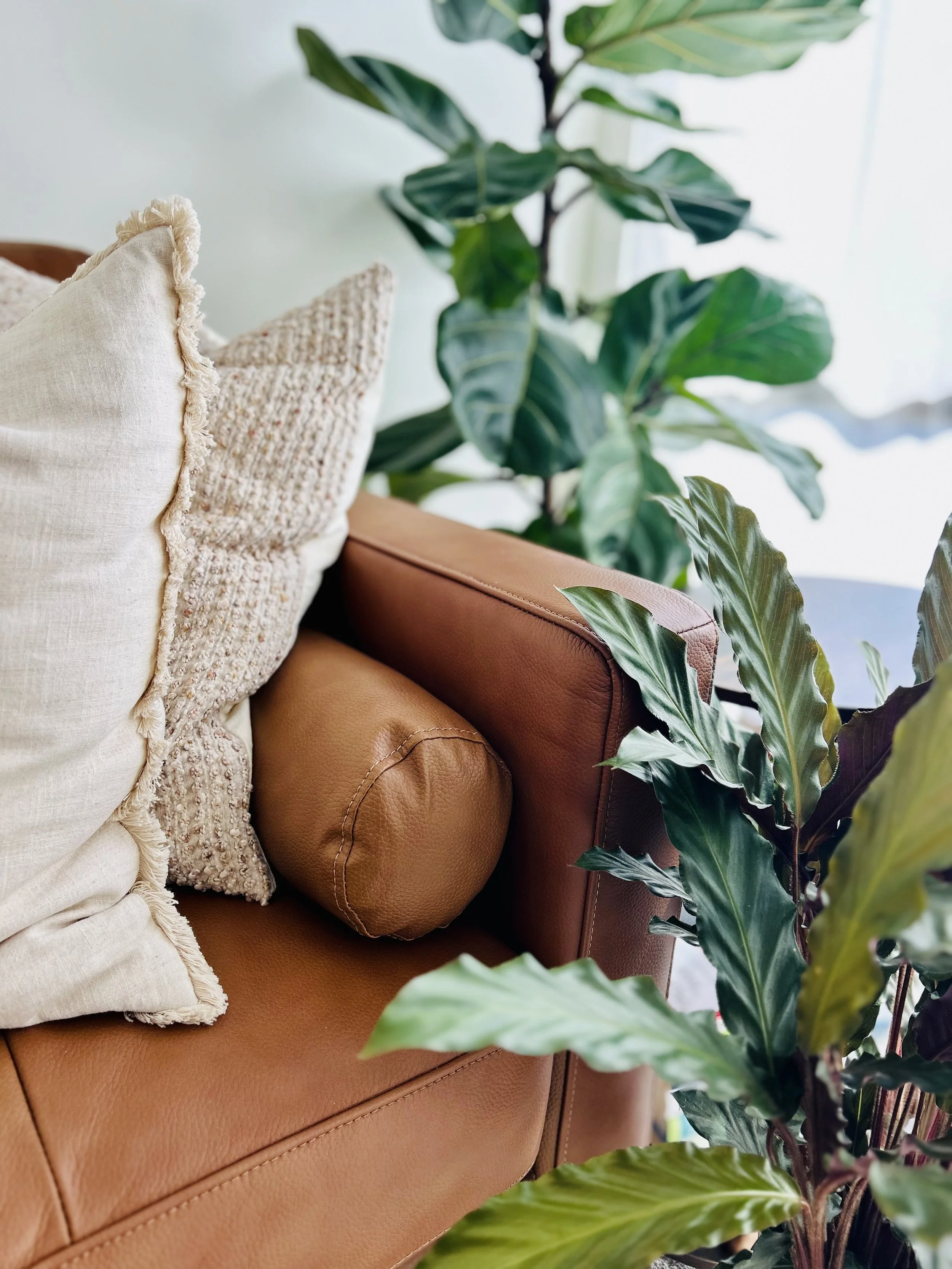 corner of leather couch with throw pillows and plants