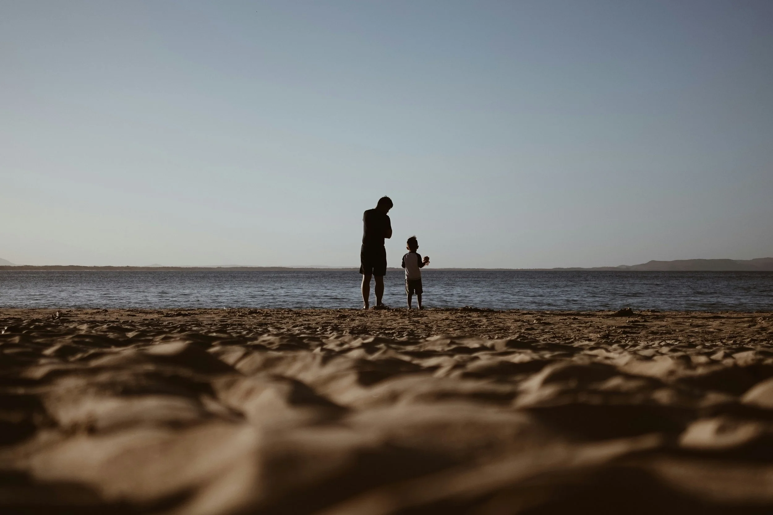 Silhouetted man and child standing on a sandy beach near the water, with a clear sky and distant landforms in the background.