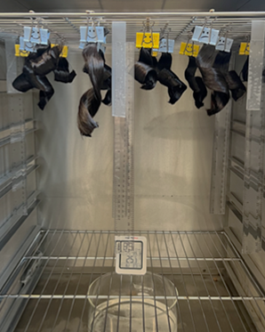 Biobased and Biodegradable Film Former (OECD301B)