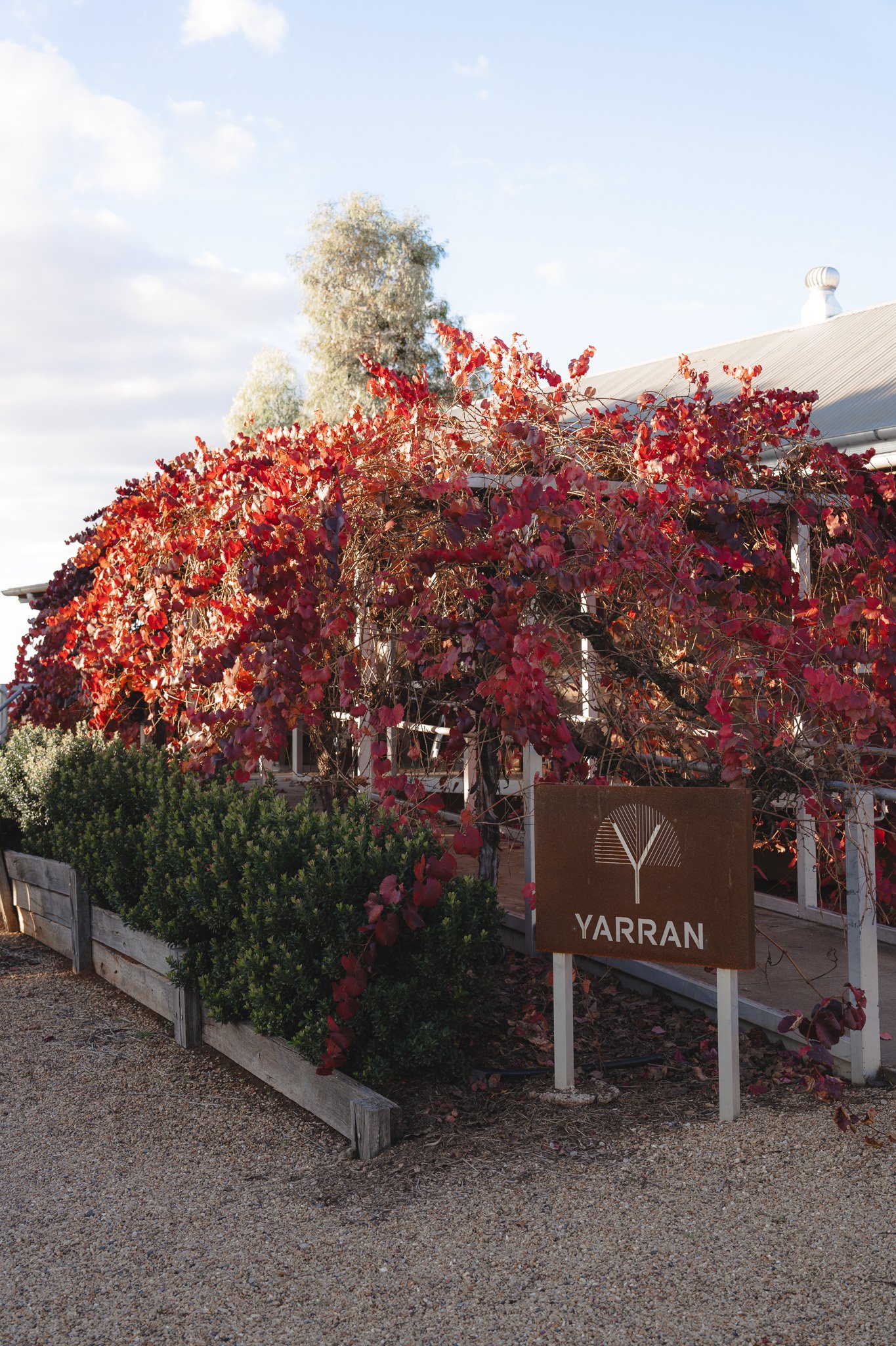 Vine-covered building with red leaves, a sign that reads 'YARRAN', and a gravel ground, wine content, marketing, brand promotion material.