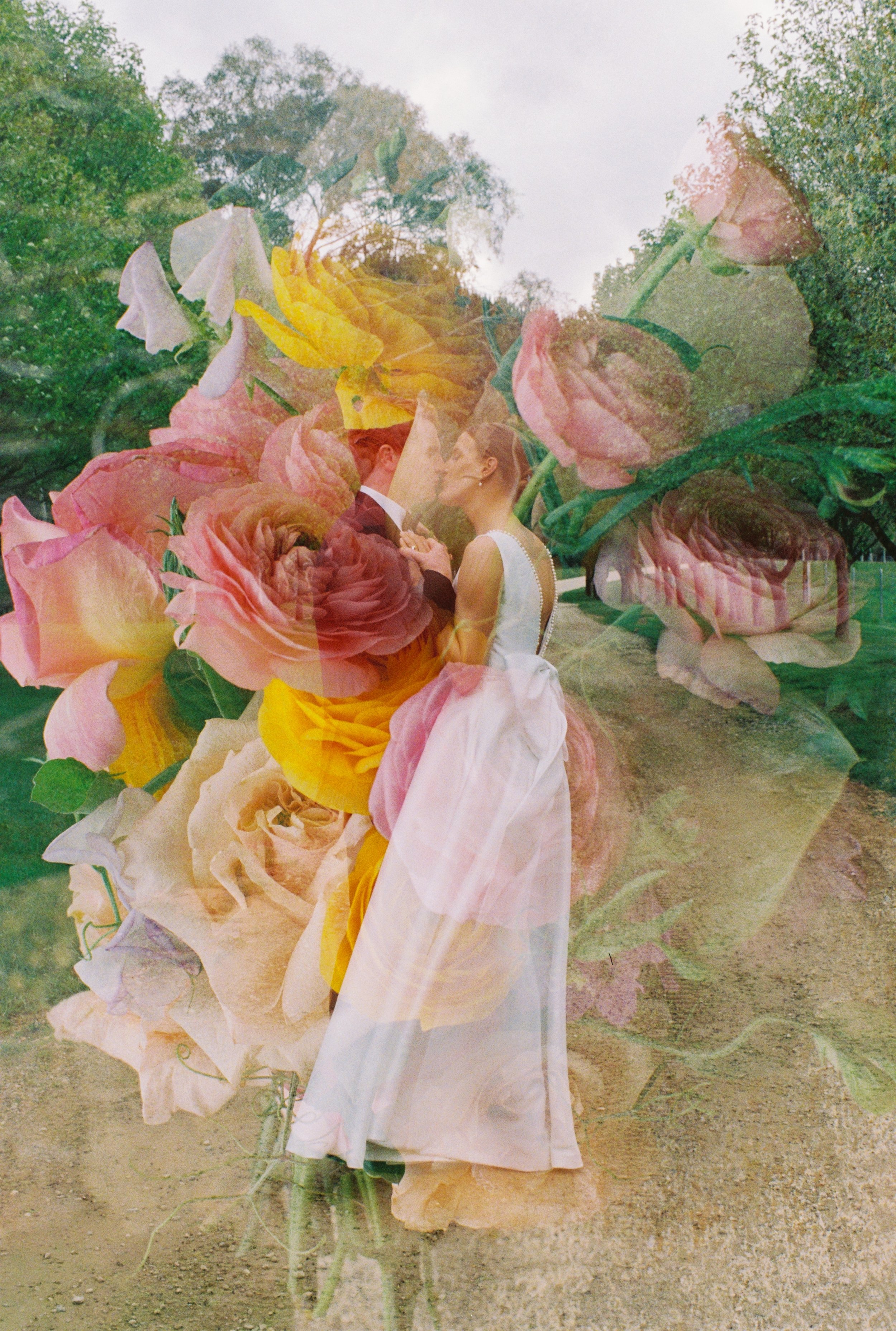 Portra 800 50000001.JPG