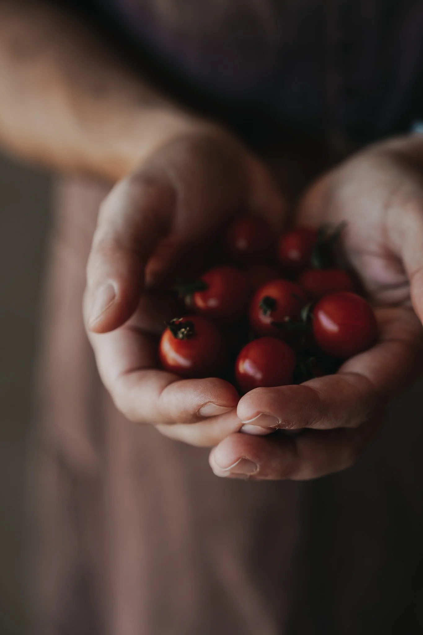 A close-up of hands holding small, ripe cherry tomatoes.
