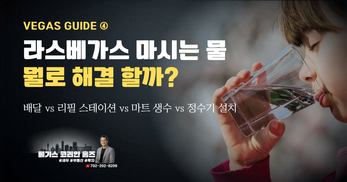라스베가스 물 가이드 2탄