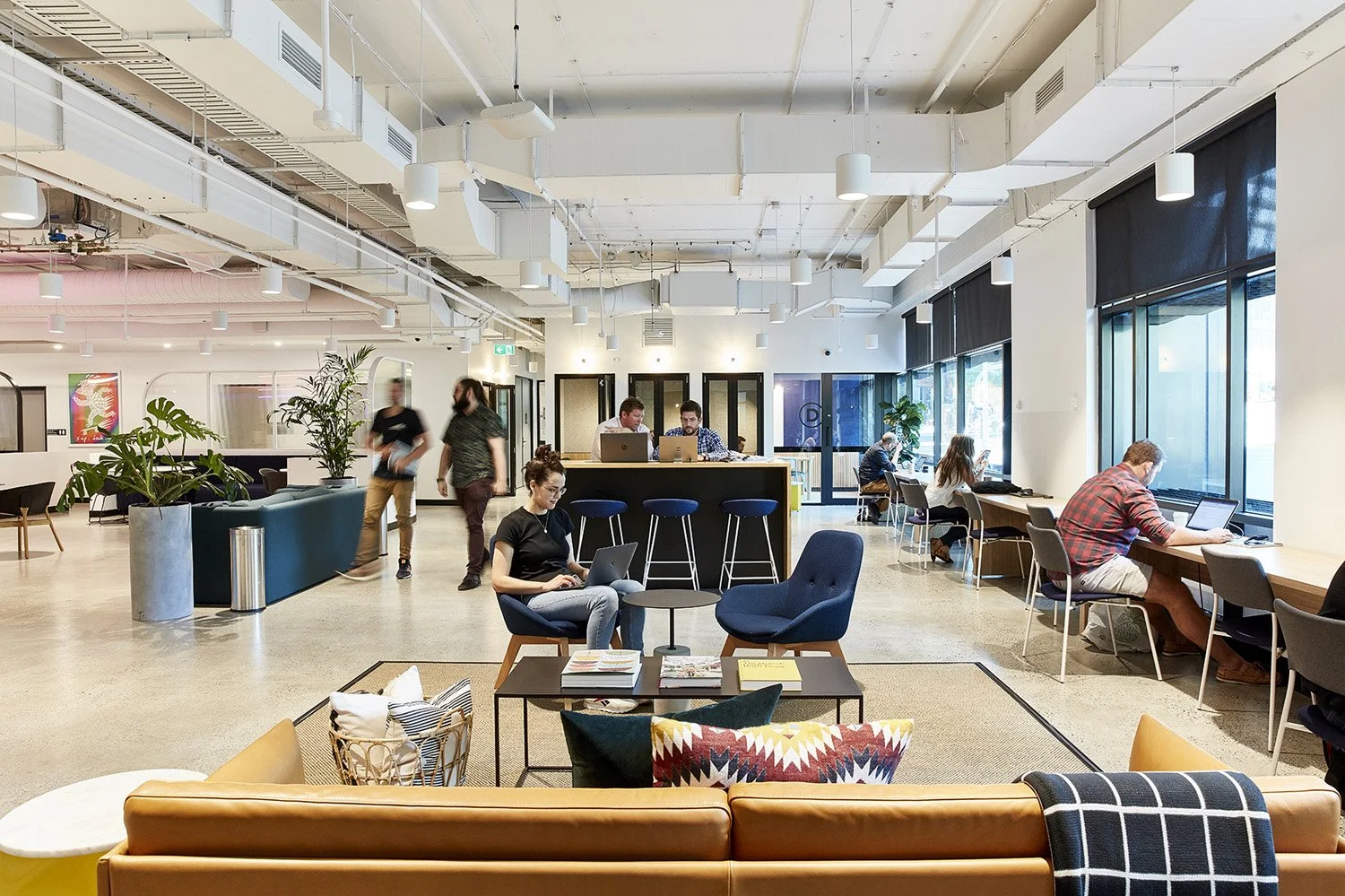 Wework_8.jpg