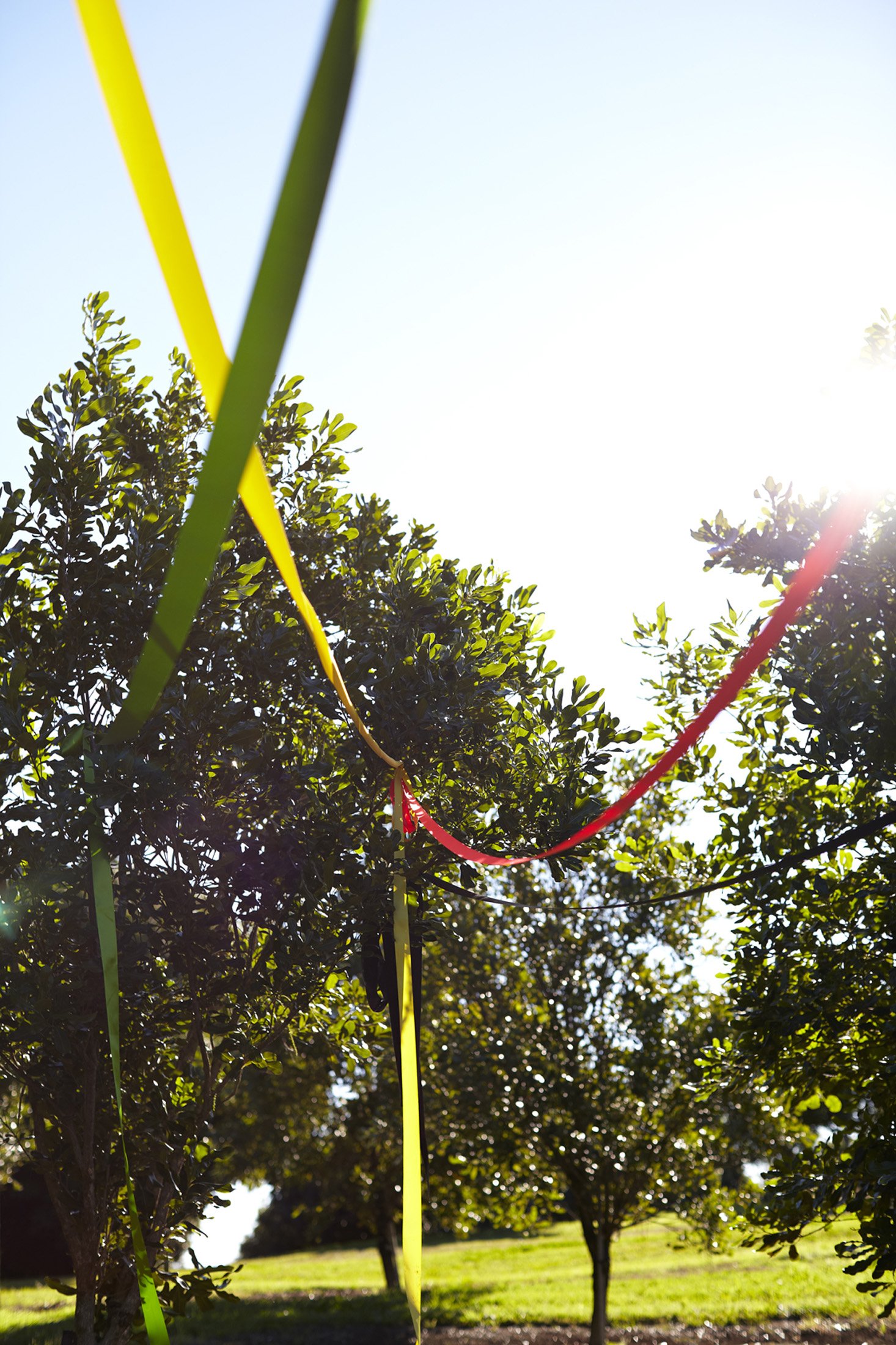 Cuisine_Xmas (4).jpg