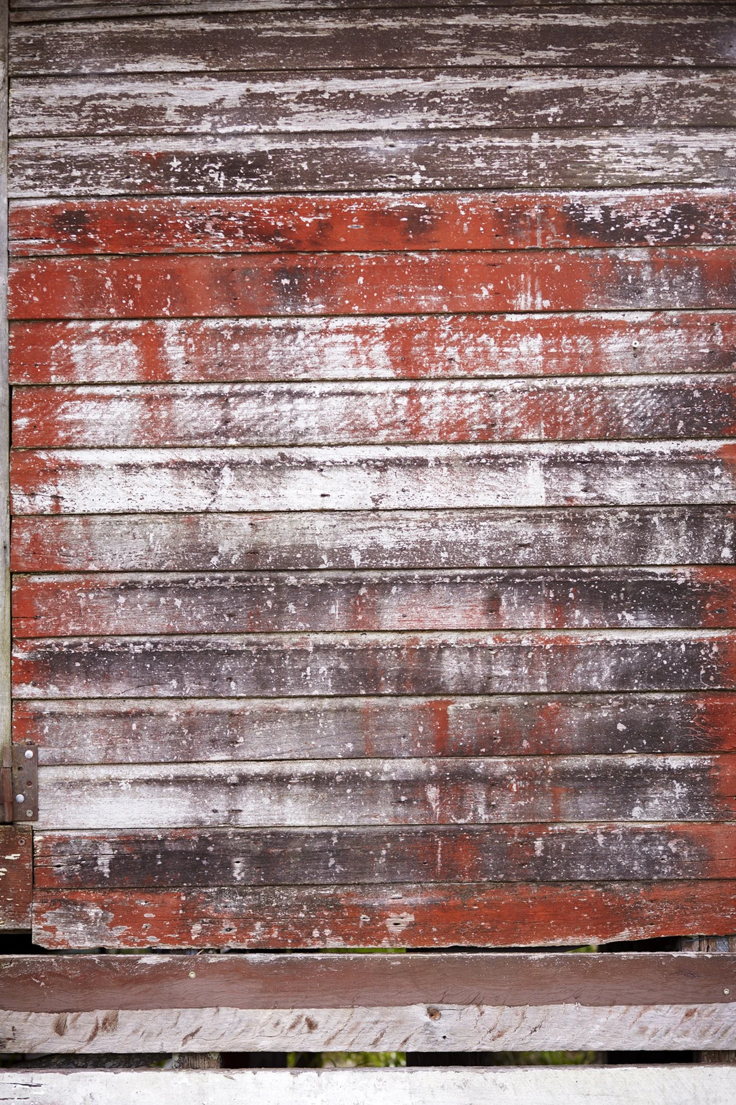 Cuisine_Summer (25).jpg