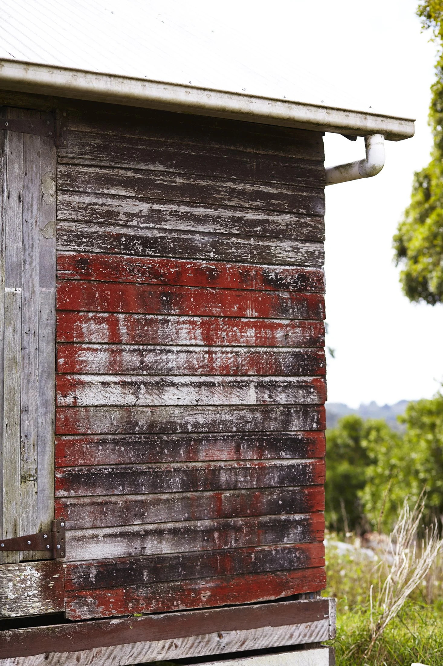 Cuisine_Summer (1).jpg