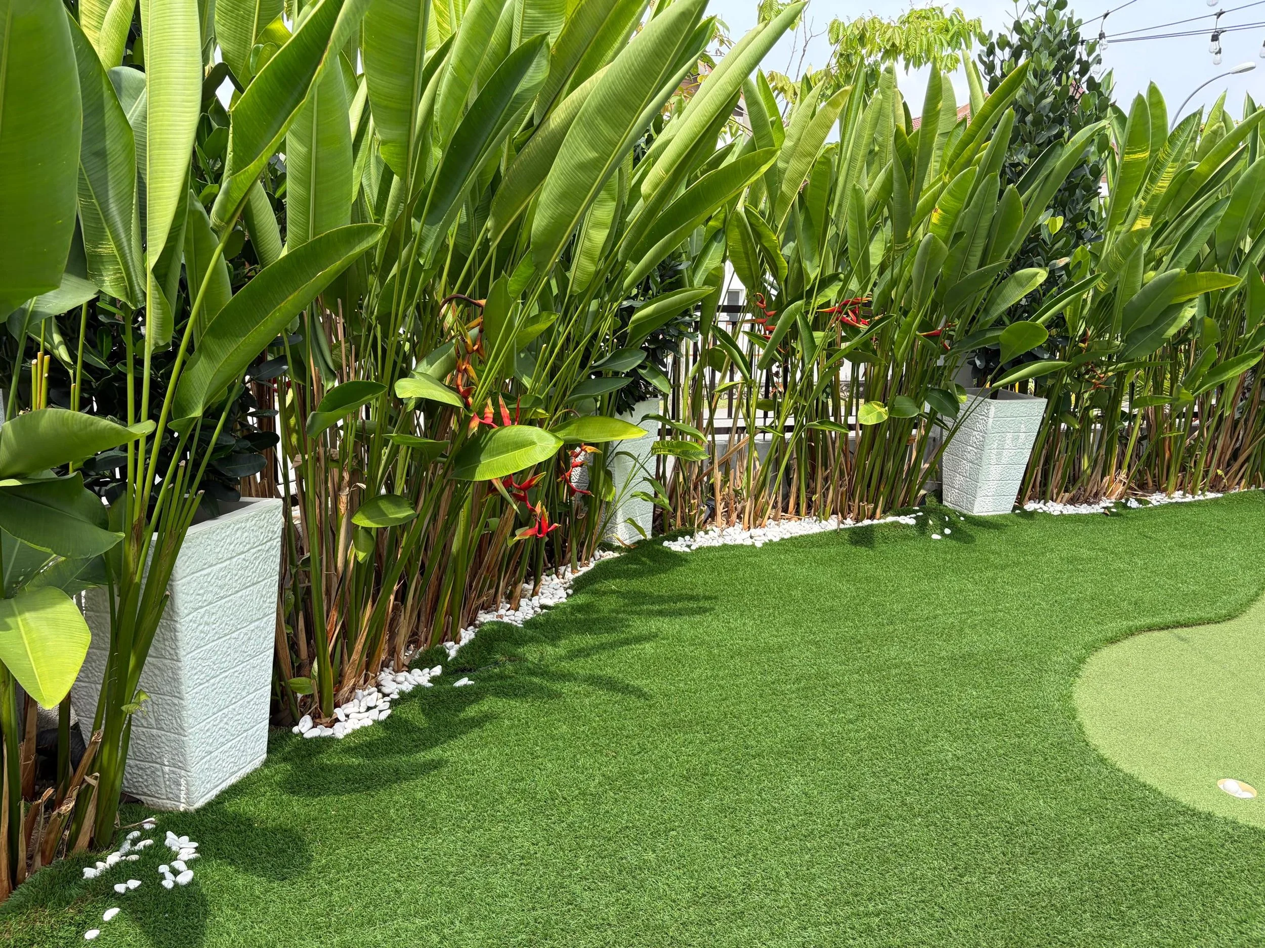 WhatsApp Image 2026-03-26 at 5.10.20 PM.jpeg