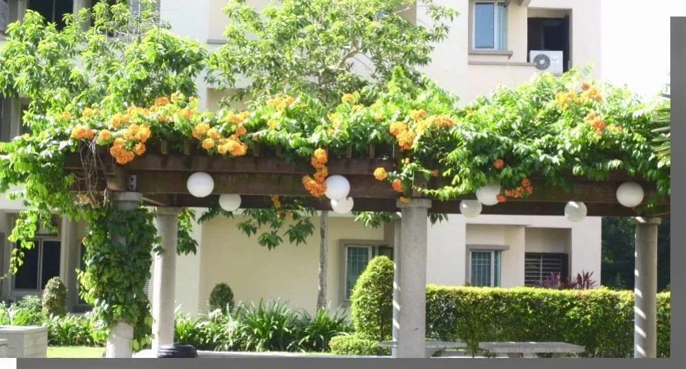 2025-08-08 13.04.34.jpg