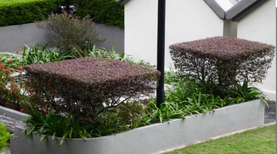 2025-08-08 13.04.38.jpg