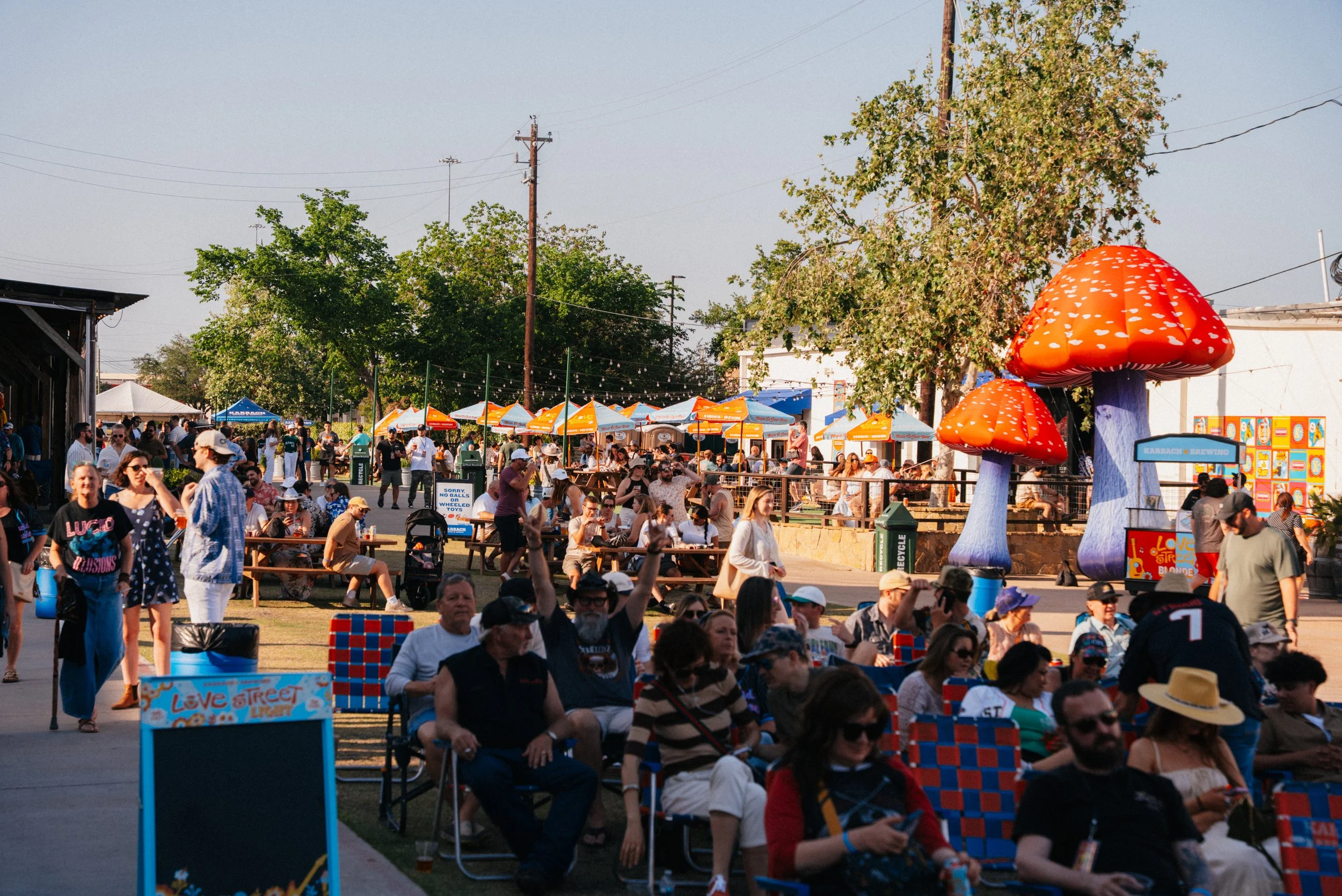 LSMF BG Photo (3 of 4).jpg