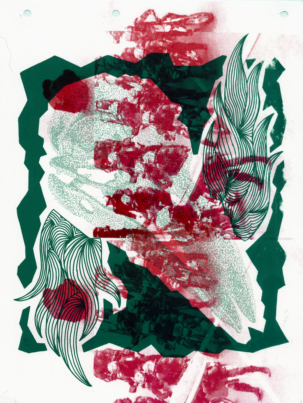 the cypresses are not who you think they are - 05.png