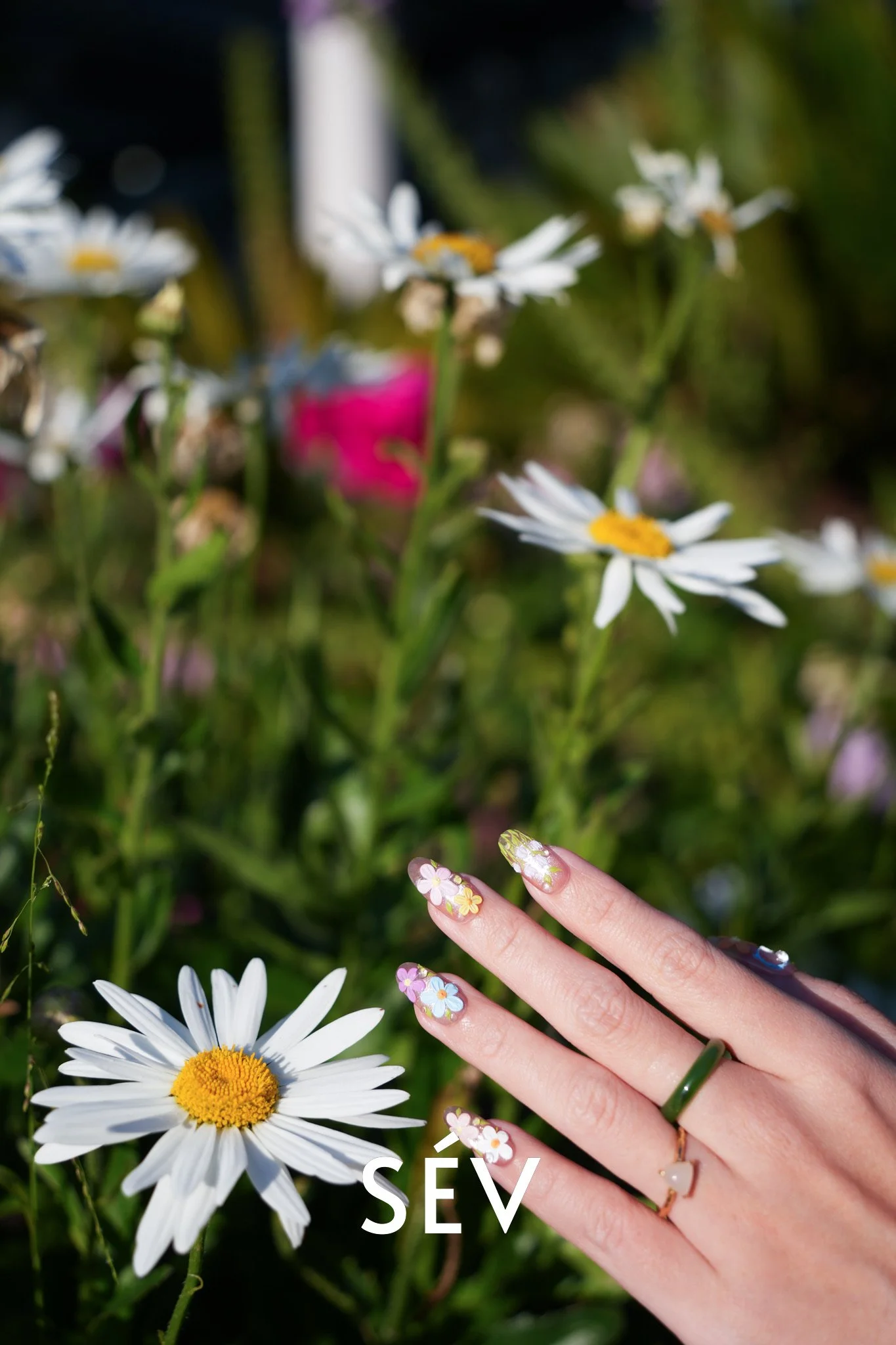 Summer Flowers