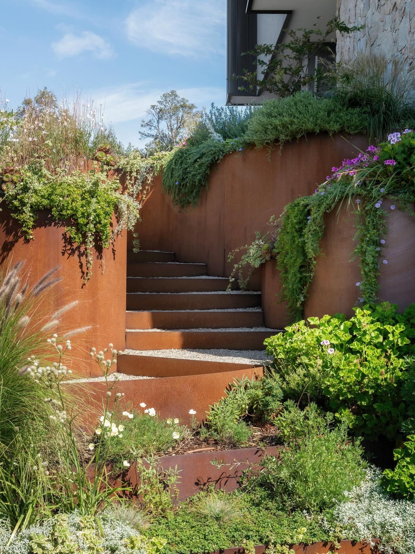 The Arc Project, Cape Schanck &mdash; a refined coastal landscape, where bold structure meets soft, natural flow. Corten steel cylinder planters anchor the space, complemented by natural boulders and timber decking, while layered native greenery spil