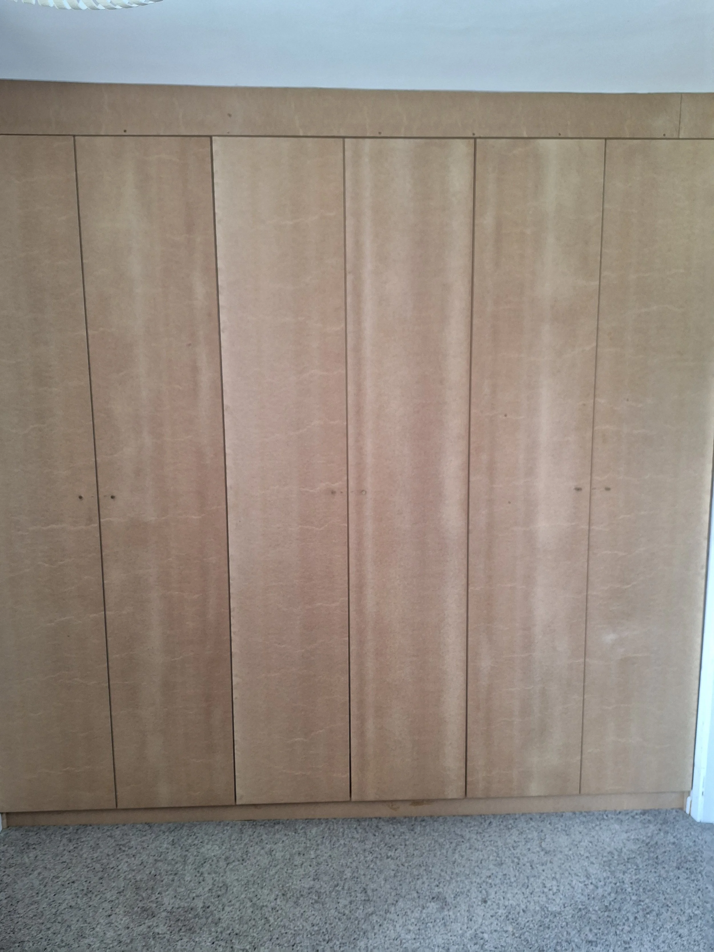 Wooden closet with vertical panels and carpeted floor.