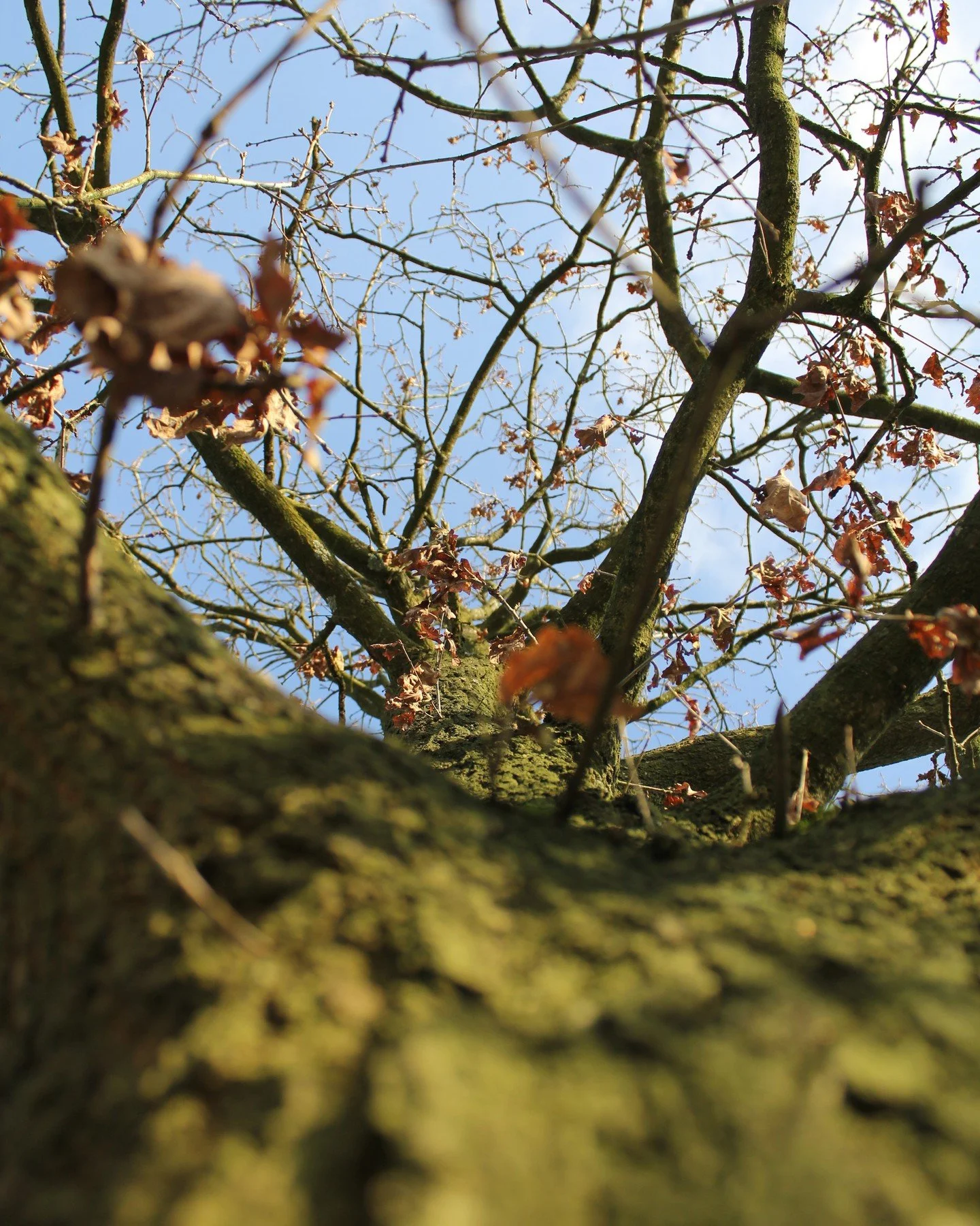 Drieluik folder fotografie

#mediavormgever #fotografie #rocvantwente #rocvantwentemediavormgever