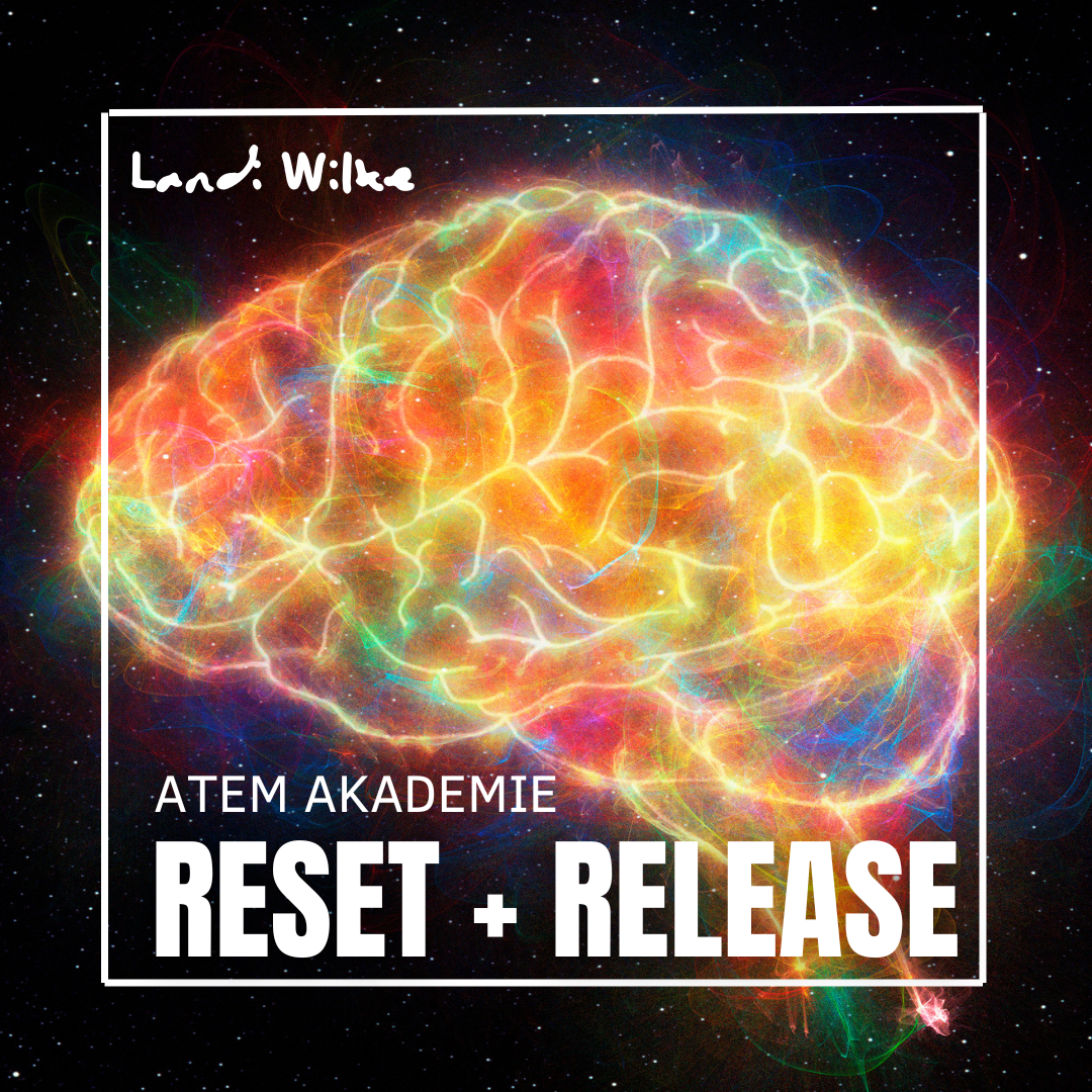 Atem Akademie Reset & Release Online Kurs – Atmung zum lösen von Mustern und Verspannungen