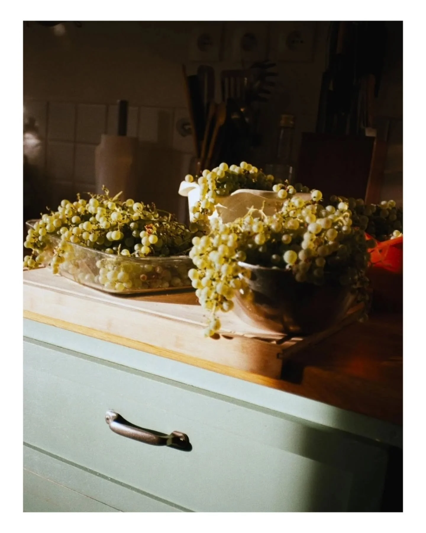 Augustus 2026 op film

Dit was de derde maand met mijn analoge camera en ik begon langzaam door te hebben wat wel en niet kan. Het werkt in veel opzichten het tegenovergestelde van digital cameras, dus dat is soms wel even wennen. Maar ik haal er ont