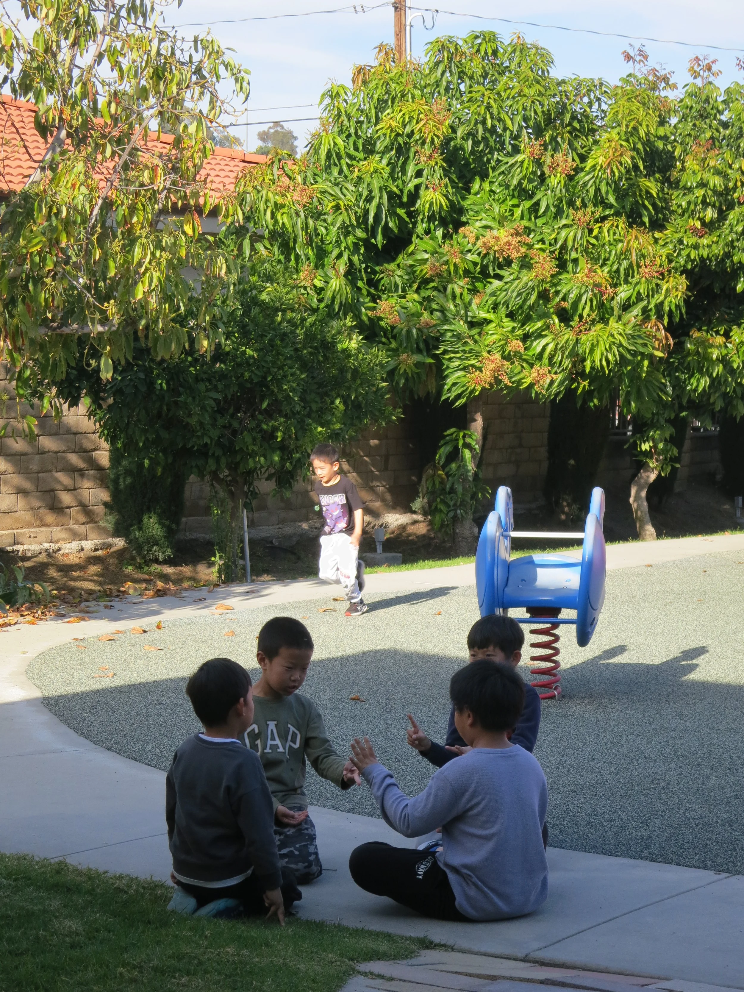 Four kindergarten children are playing and talking on the sidewalk near a playground with a spring rider, in a park with large trees and a brick wall in the background. (The Cross Schools of Education - Walnut, CA)