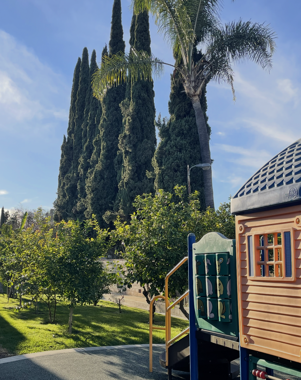 Colorful playground with trees and tall cypress and palm trees against a blue sky. (The Cross Schools of Education - Walnut, CA)
