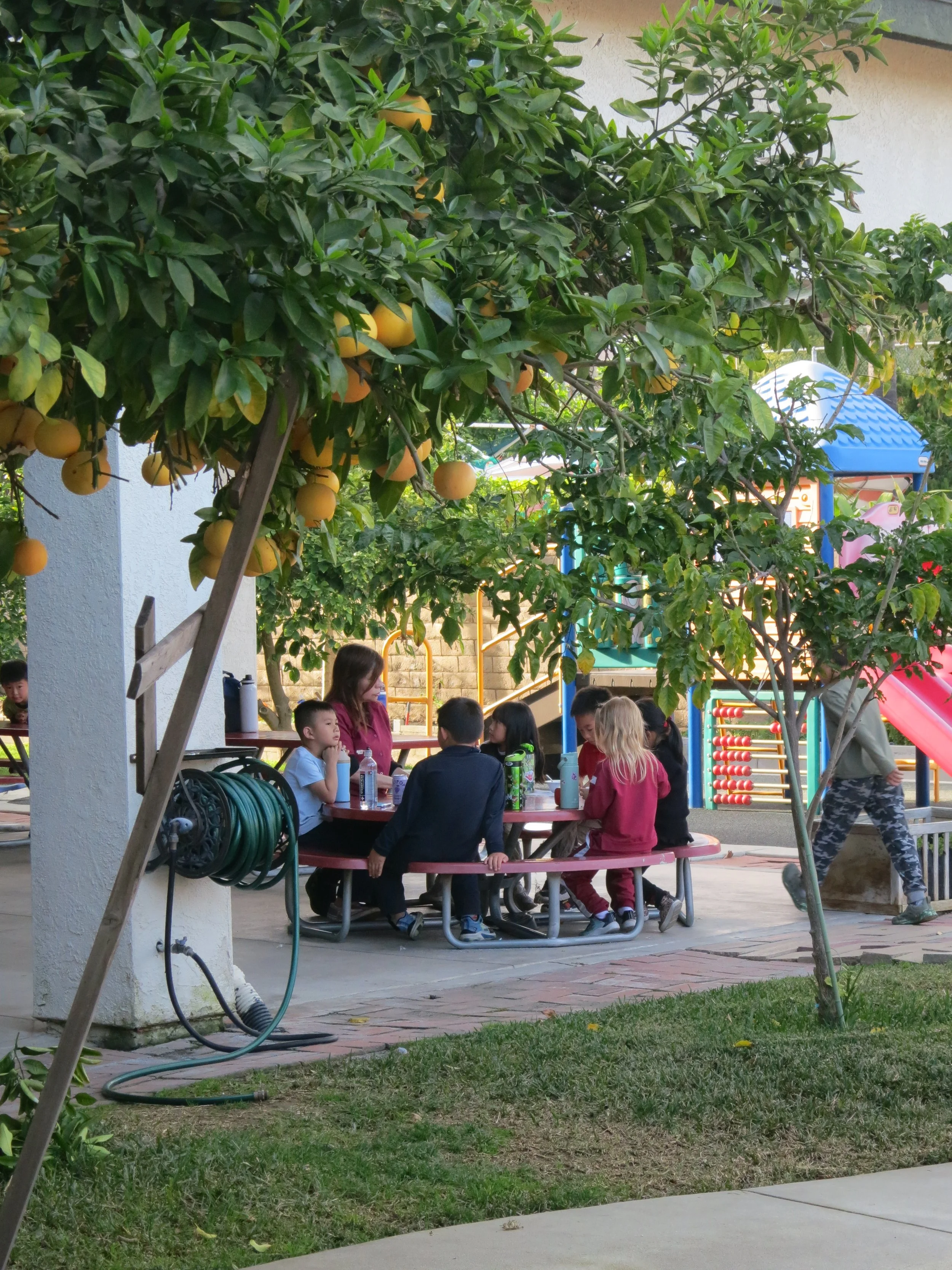 Children at The Cross Schools of Education Summer camp in Walnut, CA