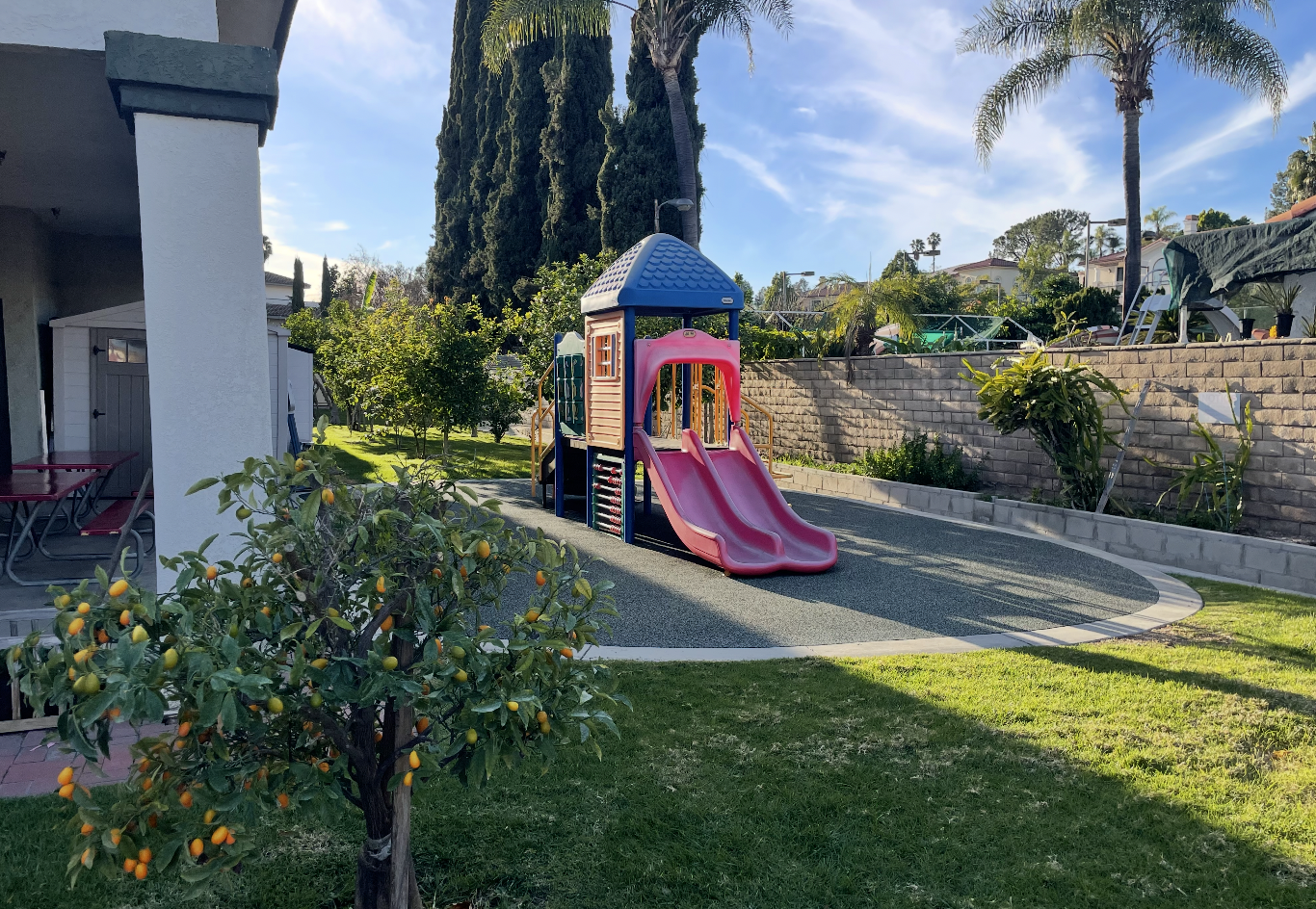 A school field with a play structure featuring two slides, a small grassy area, lemon tree, palm trees, and a brick wall in the background on a sunny day. (The Cross Schools of Education - Walnut, CA)