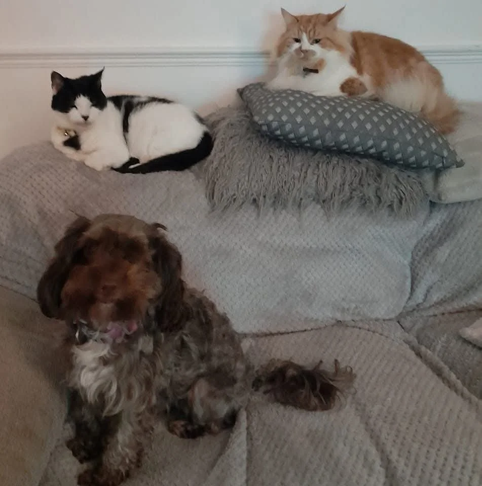 all 3.jpg