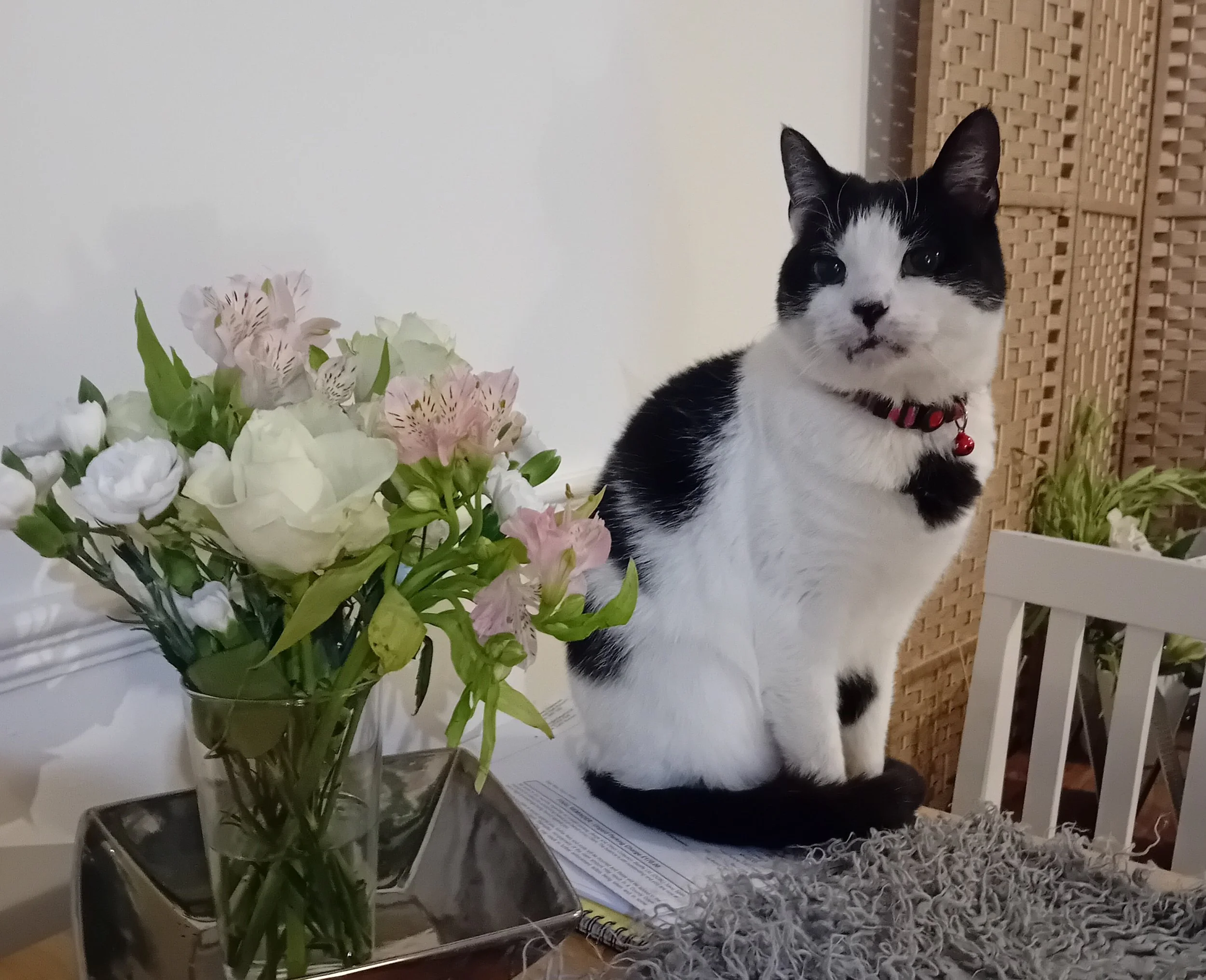 Tammy & flowers.jpg