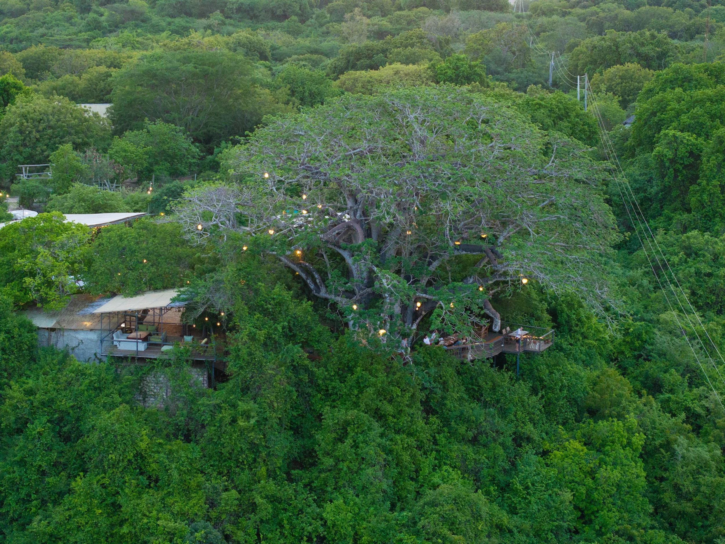 Why The Twisted Fig Is the Perfect Place for a Digital Detox