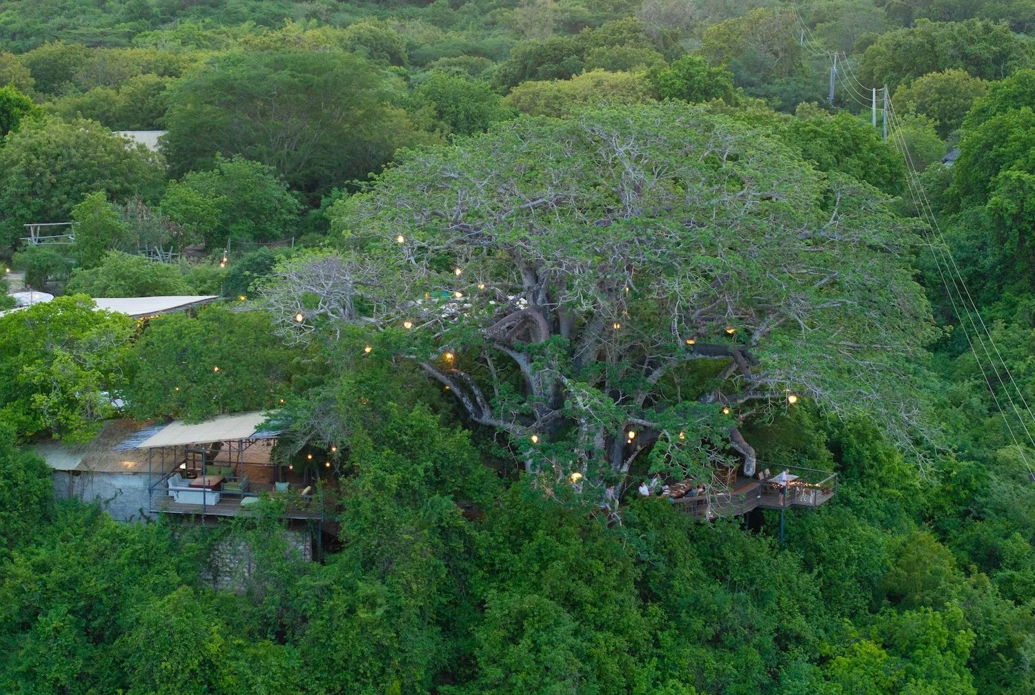 Best Restaurants Coast Kenya