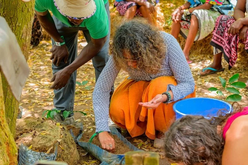 Permaculture and Soil Health, Kisima Festival, Kilifi
