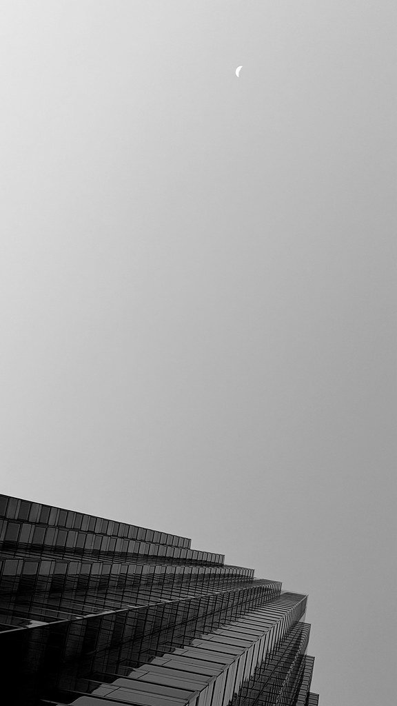 55287458210_e54b20c9d2_b.jpg