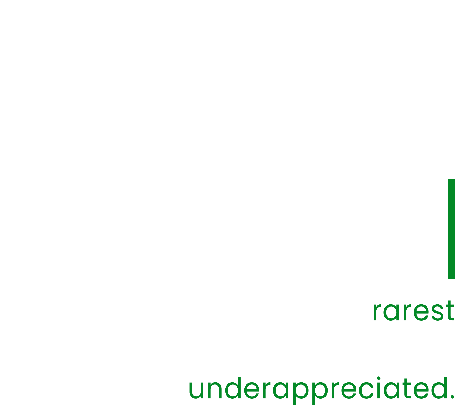 Close-up view of the word 'avanzante' and its phonetic pronunciation, along with a definition of the word 'tanzanite,' including a description of tanzanite gemstones and their rarity.