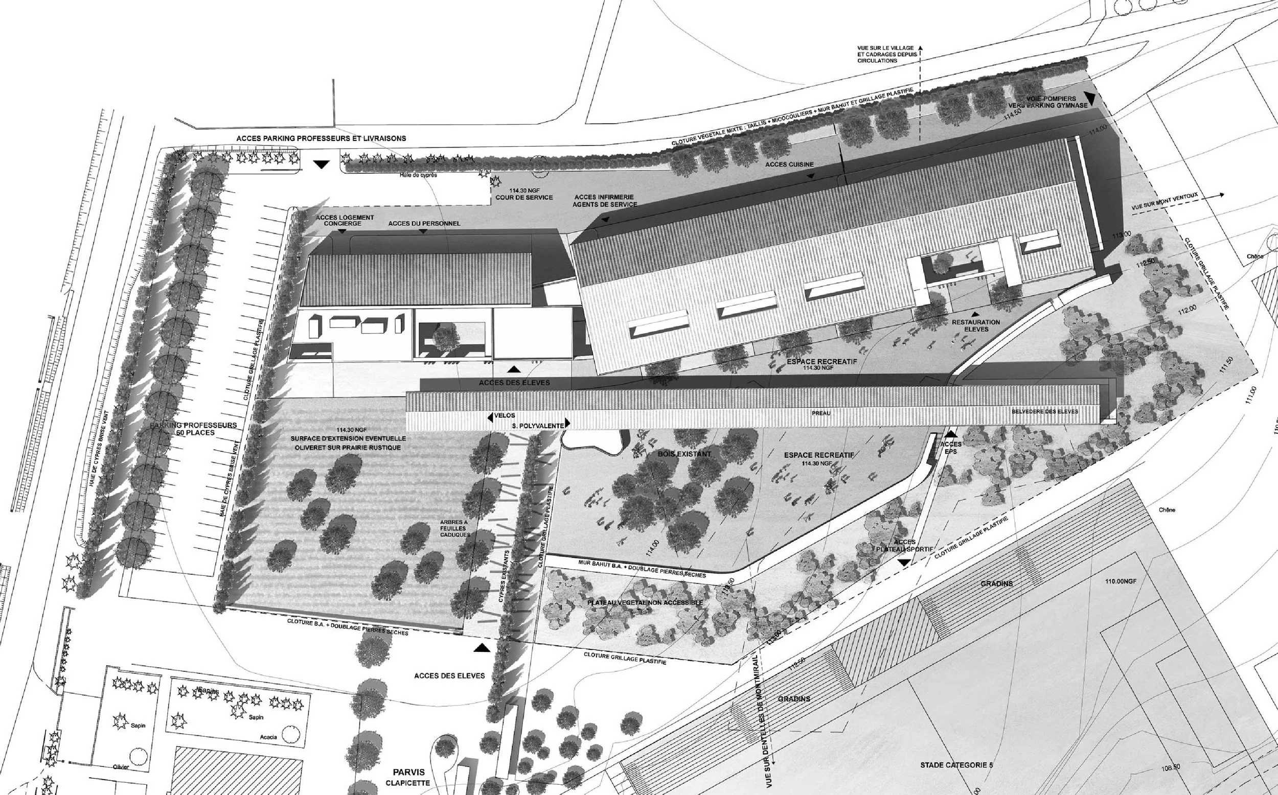 plan de masse.jpg