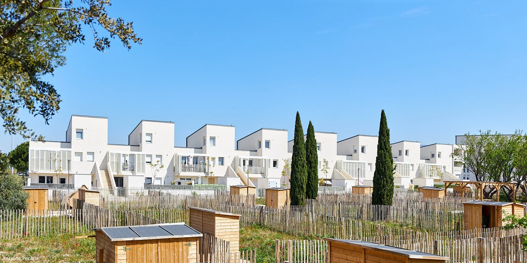 Eco-quartier «Les Oliviers» - MORIERES-LES-AVIGNON (84)