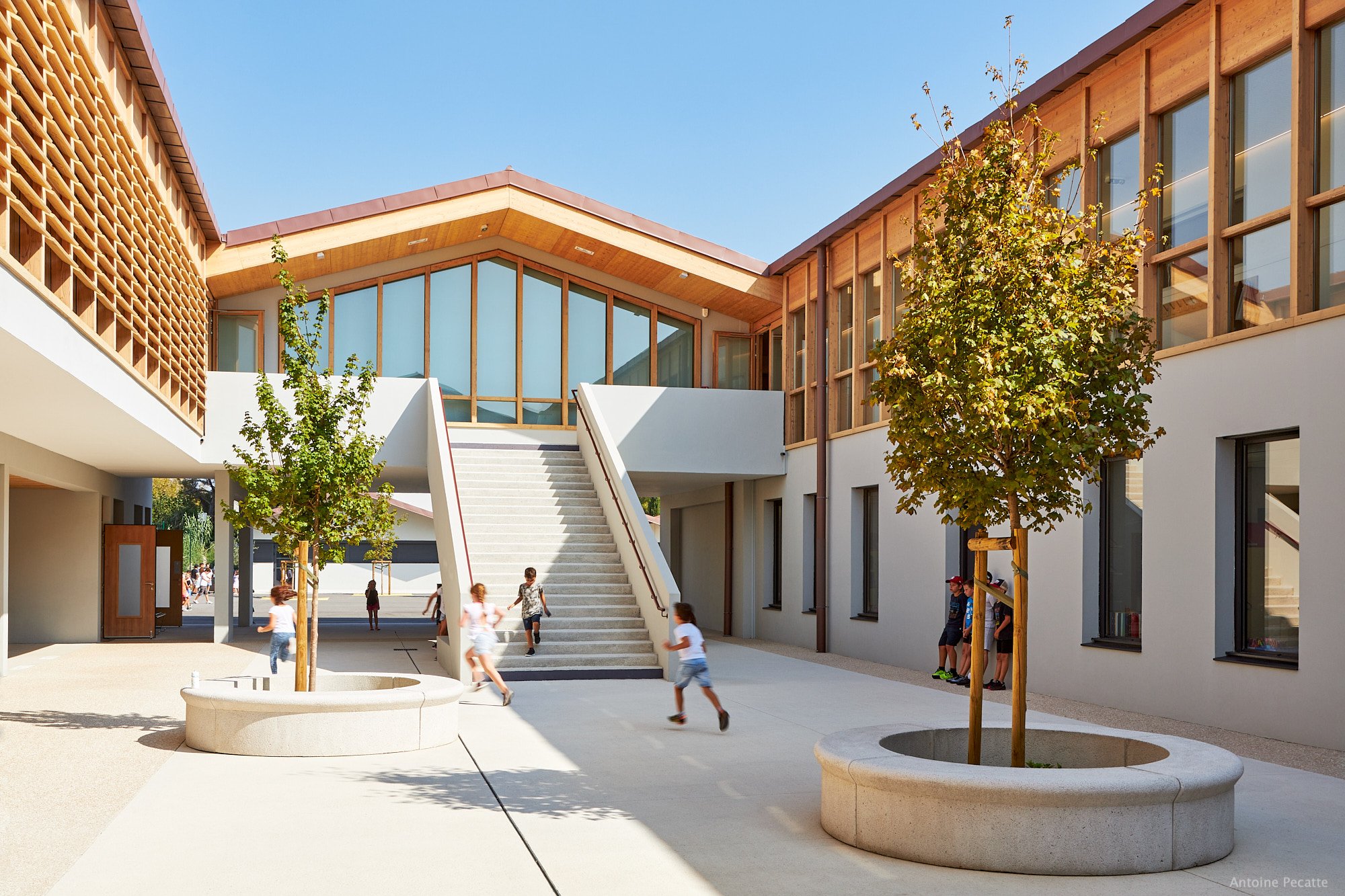 Une cour d'école avec des enfants jouant et deux jeunes arbres dans des bacs en pierre, entourée de bâtiments modernes en bois et en blanc.
