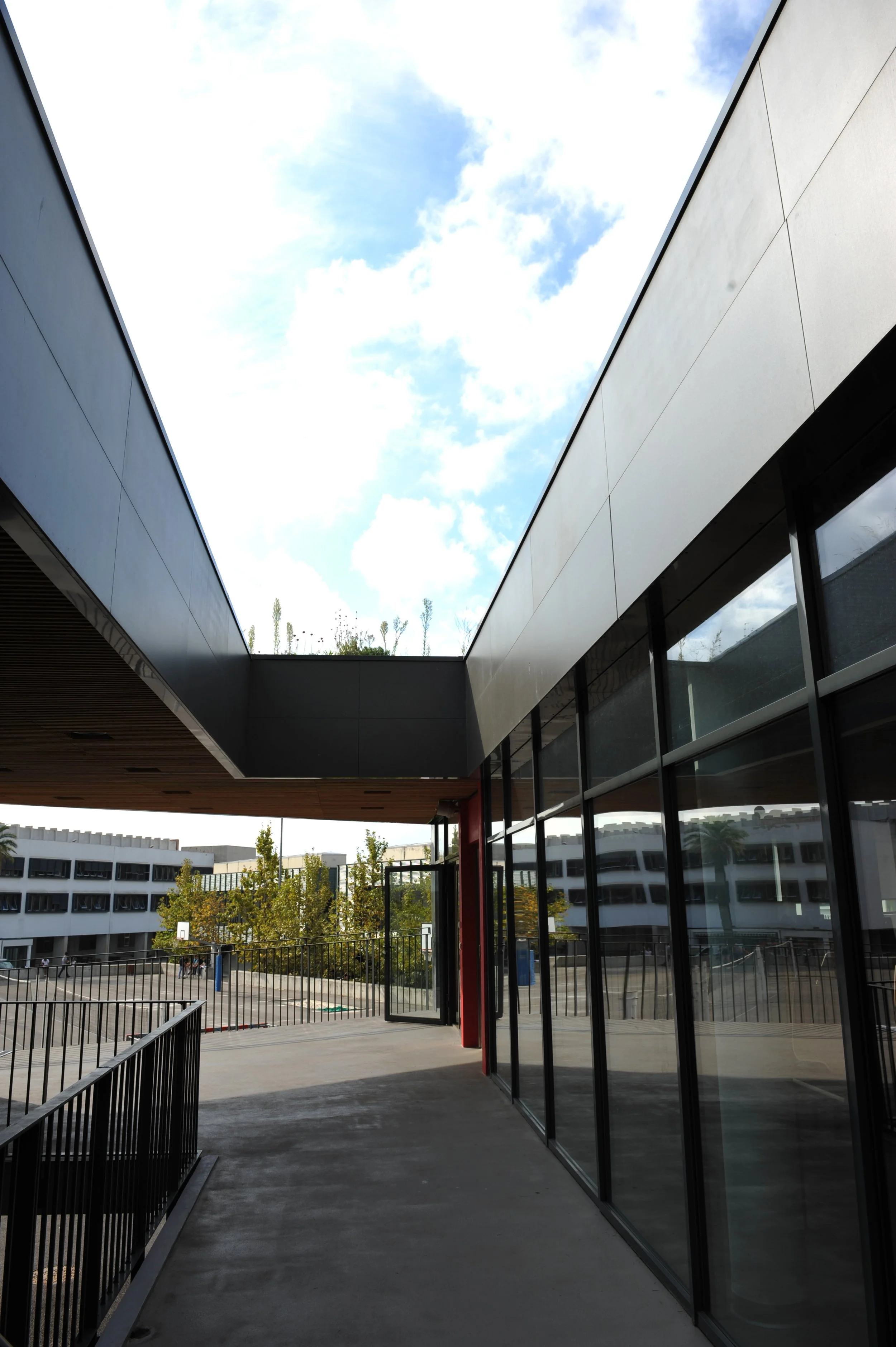 DSC_4589 contrast.jpg