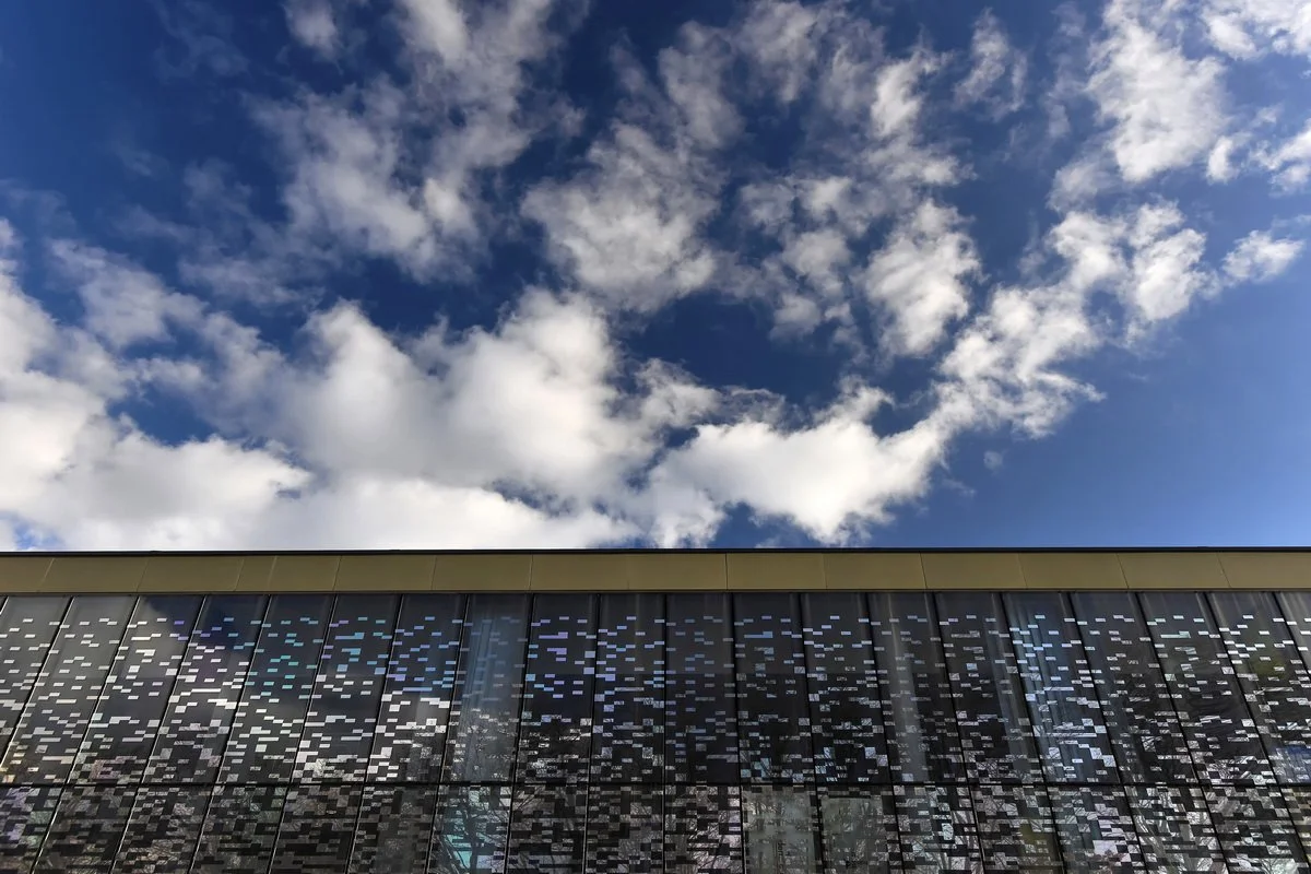 Domaine Sud_janvier 2016_042.jpg