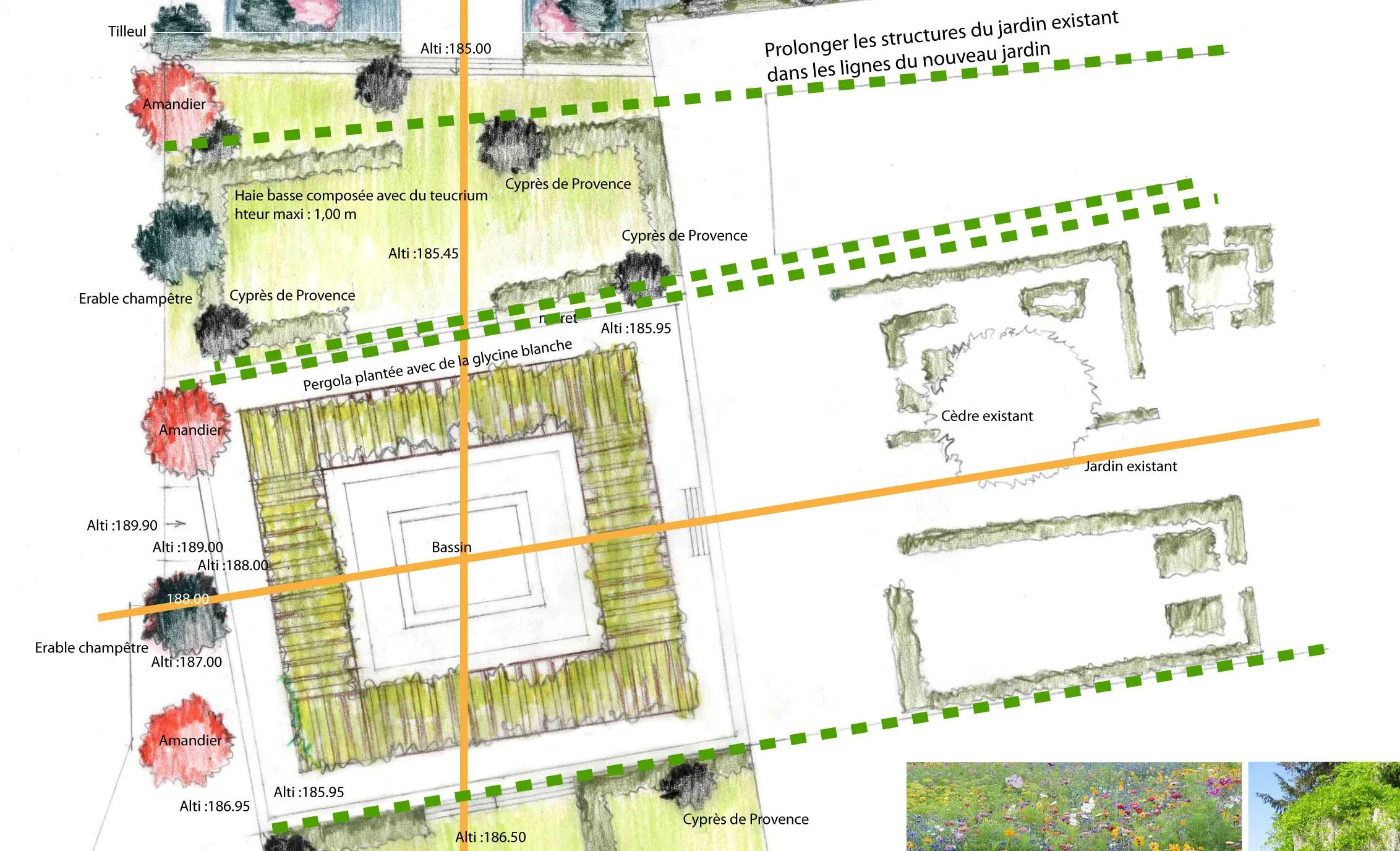 Plan masse paysage.jpg