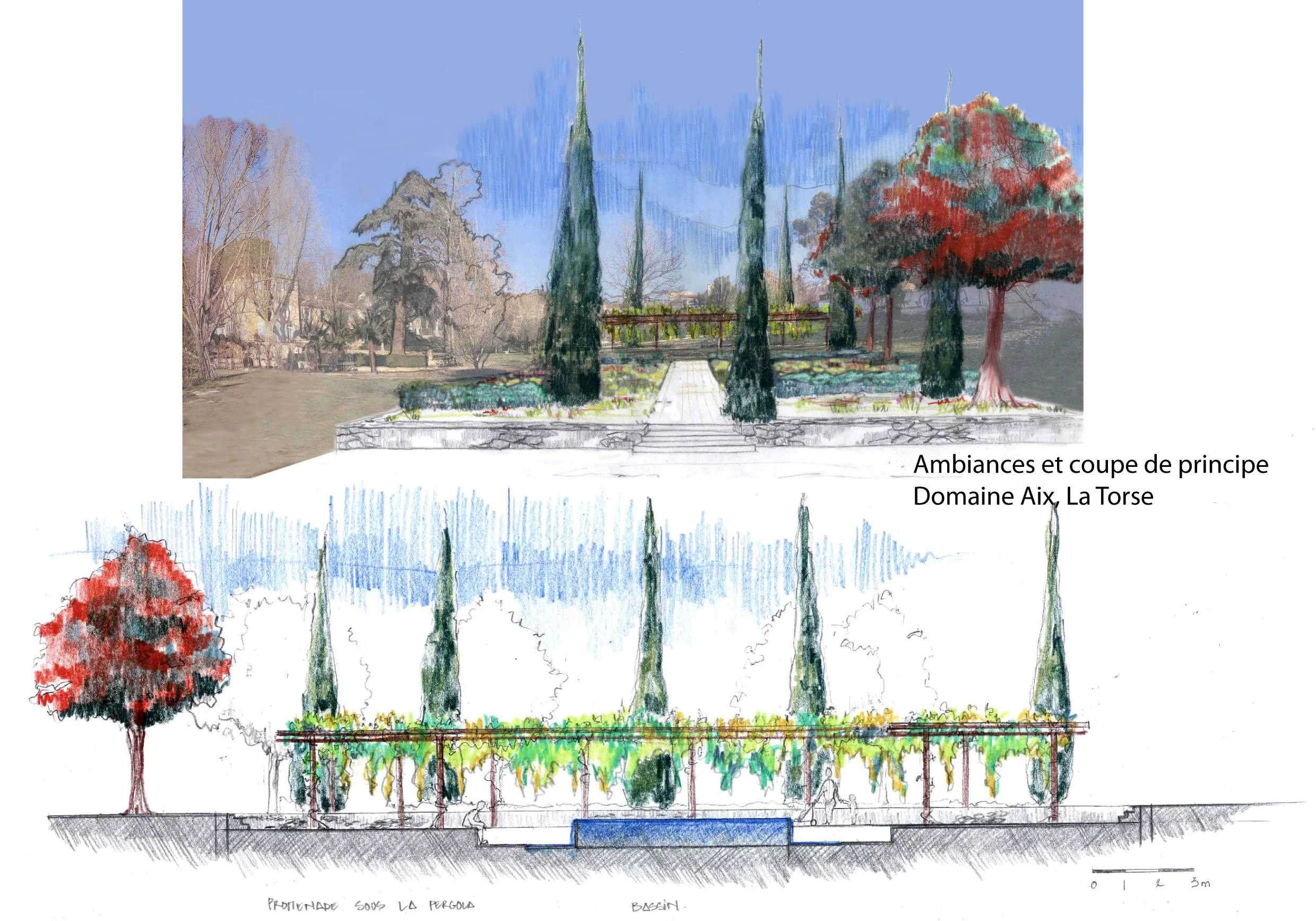 Planche Persp Pergola.jpg