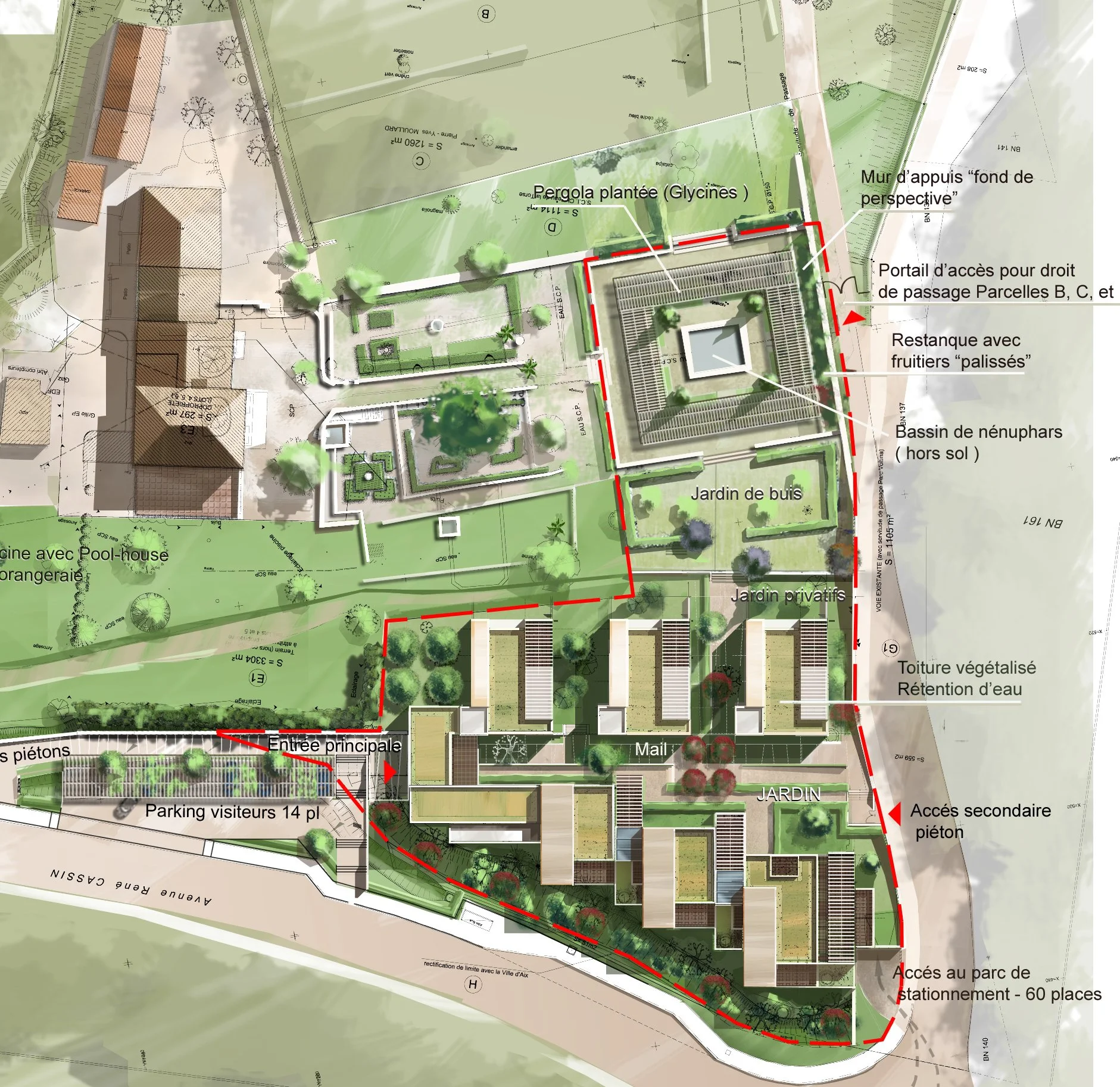 Plan de masse recadré.jpg